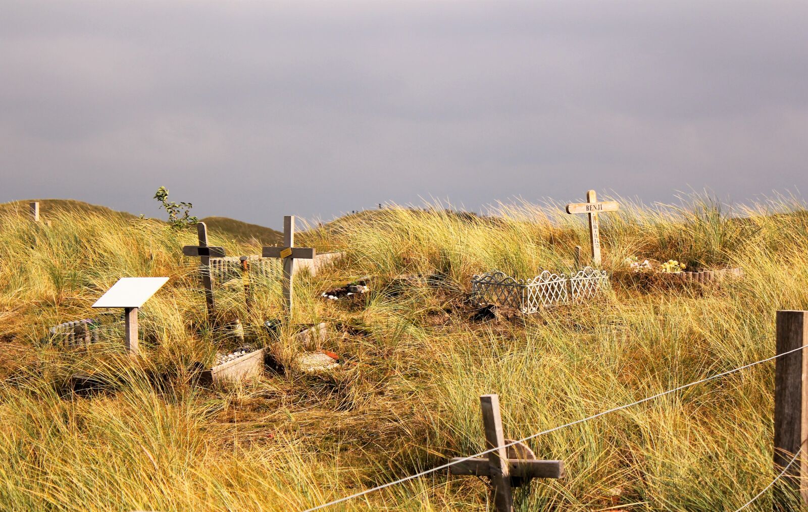 Canon EOS 550D (EOS Rebel T2i / EOS Kiss X4) sample photo. Dune, grasses, cemetery photography