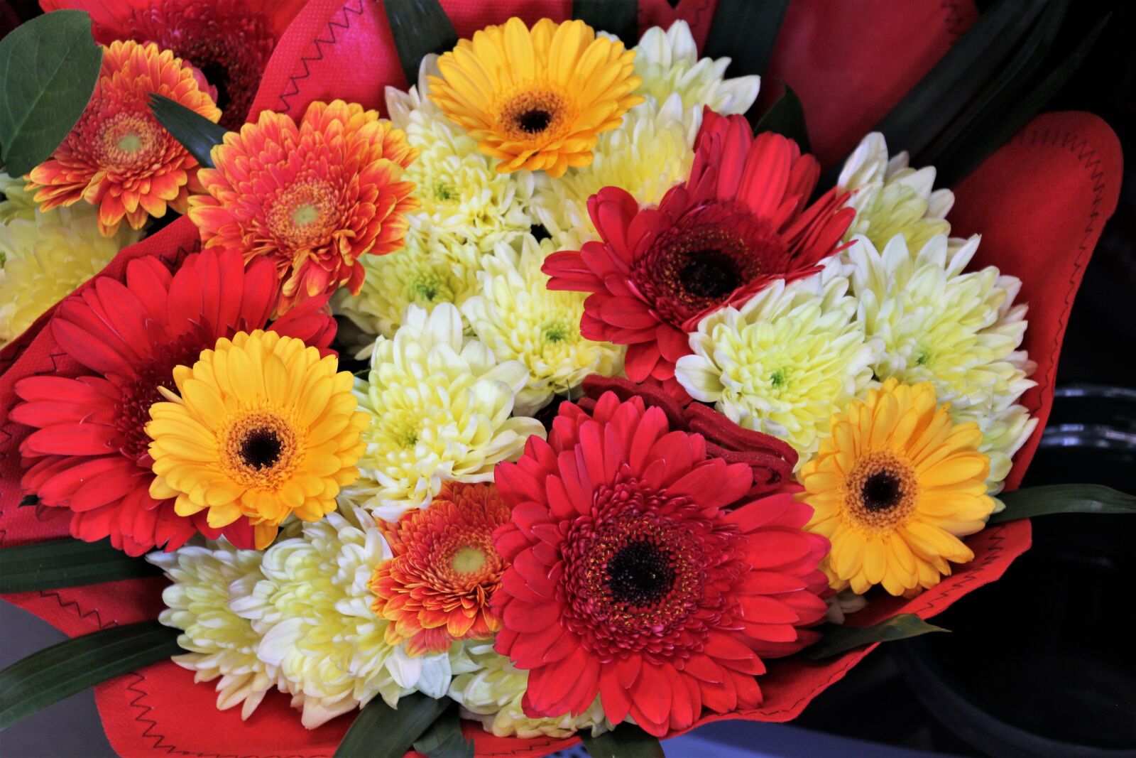 Canon EOS 60D sample photo. Flowers, bouquet, spring photography