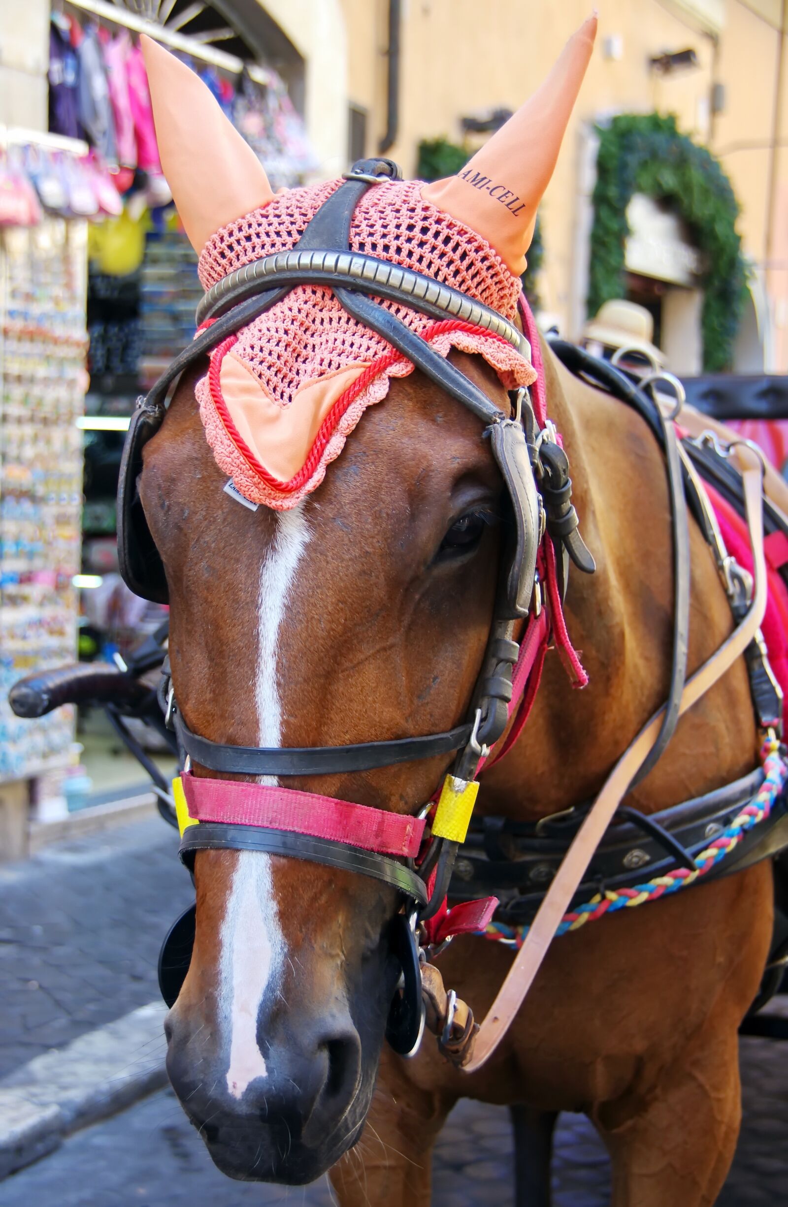Pentax K-5 sample photo. Horse, hitch, drawn photography