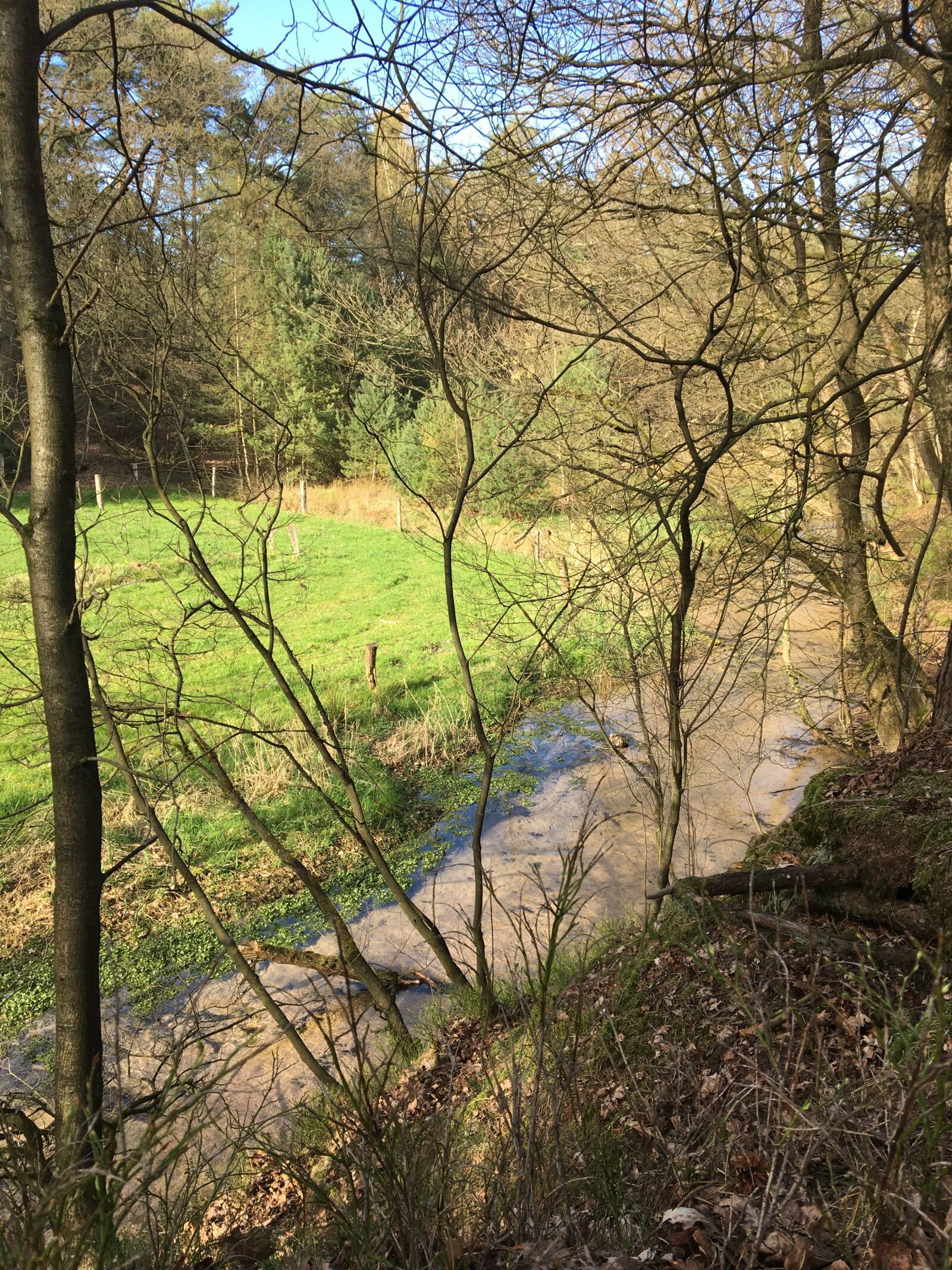 Apple iPhone 6s sample photo. Creek, nature, water photography