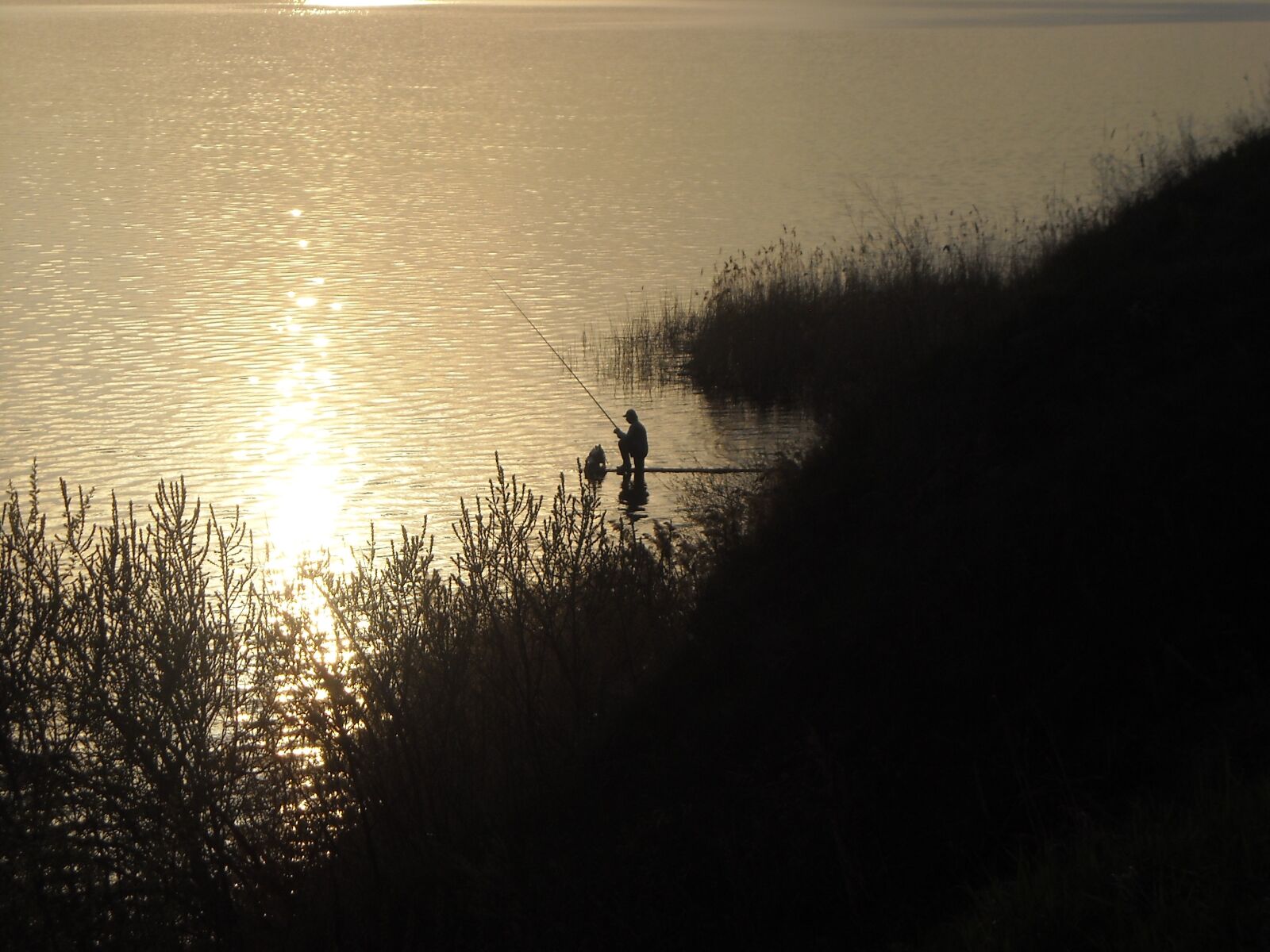 Nikon Coolpix L16 sample photo. Lake, pond, fisherman photography