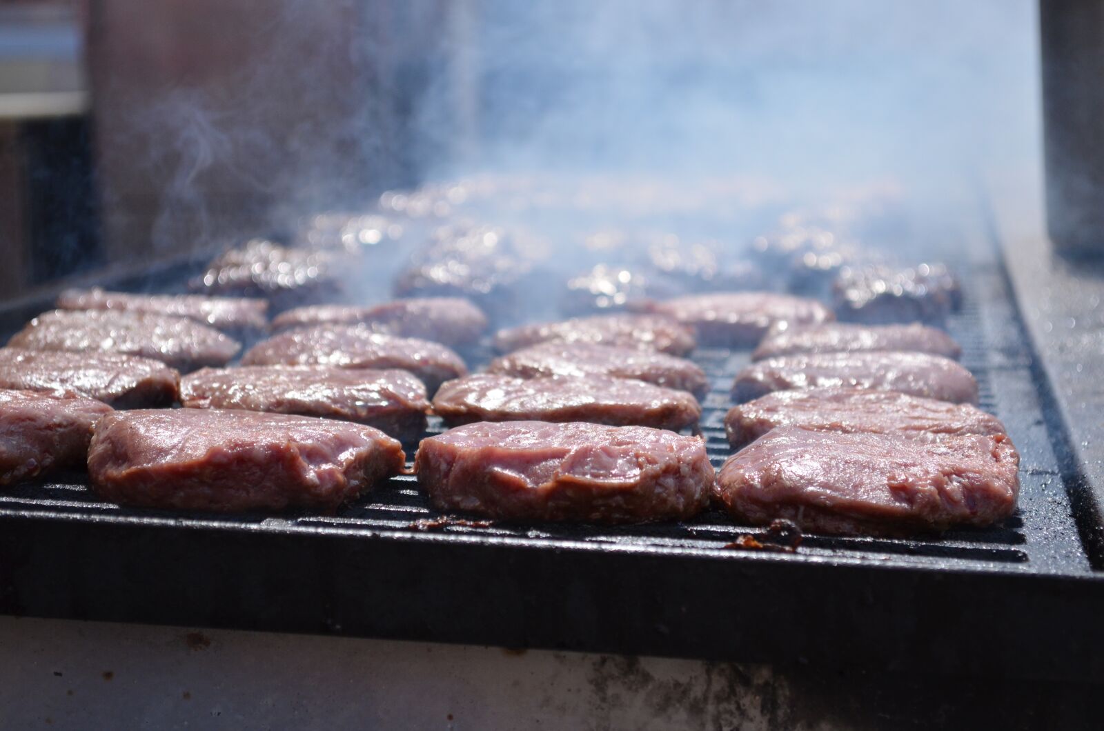 Nikon D5100 sample photo. Grill, burgers, food photography