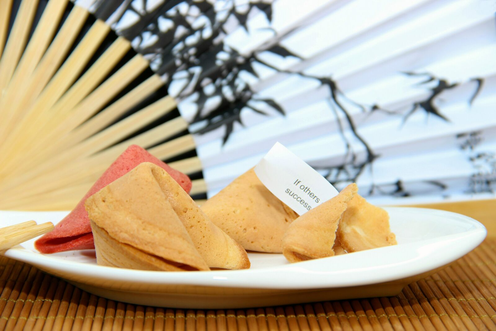 Canon EOS 600D (Rebel EOS T3i / EOS Kiss X5) sample photo. Subjects, bamboo, mat photography