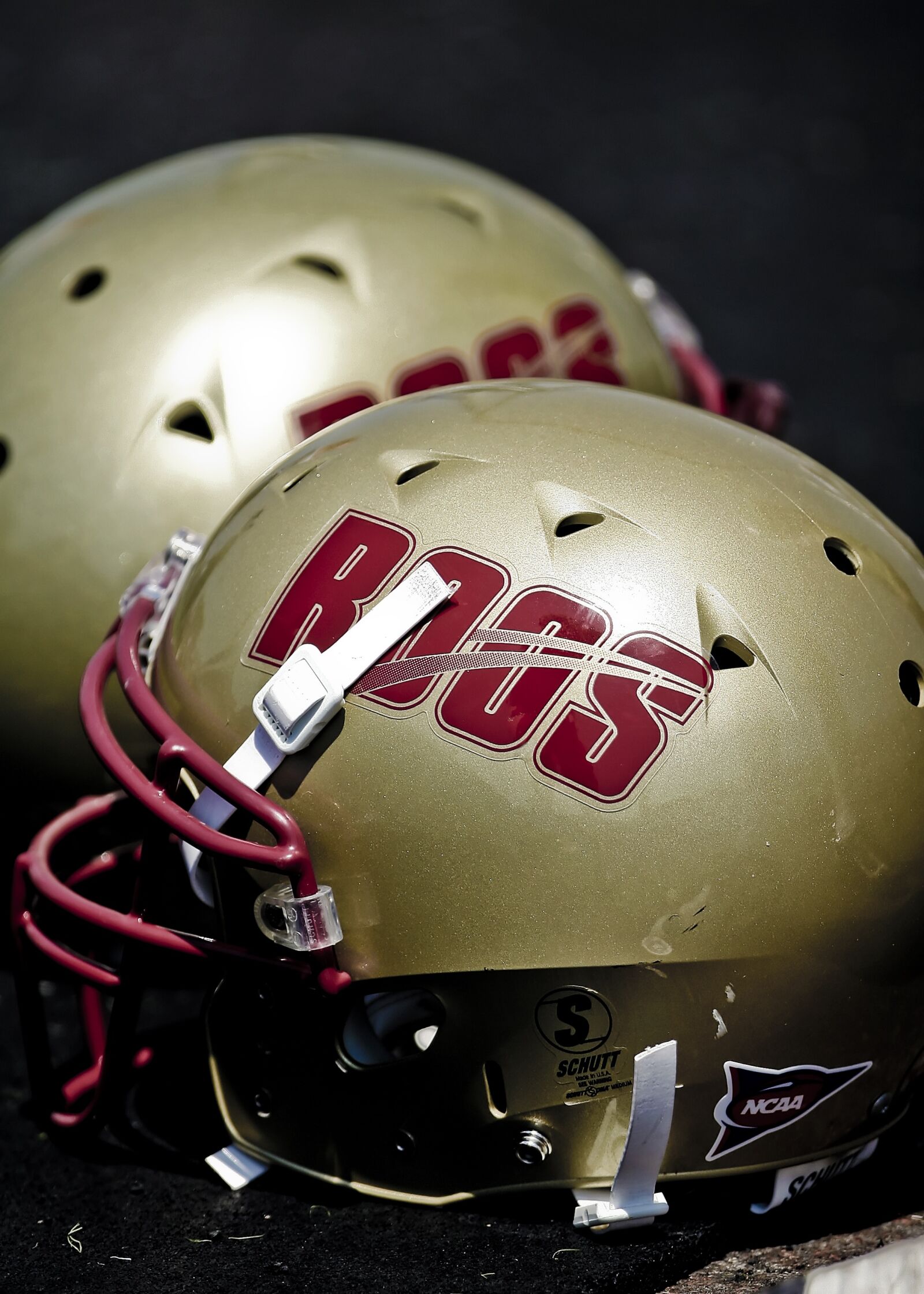 Canon EOS 20D sample photo. Helmet, football helmet, american photography