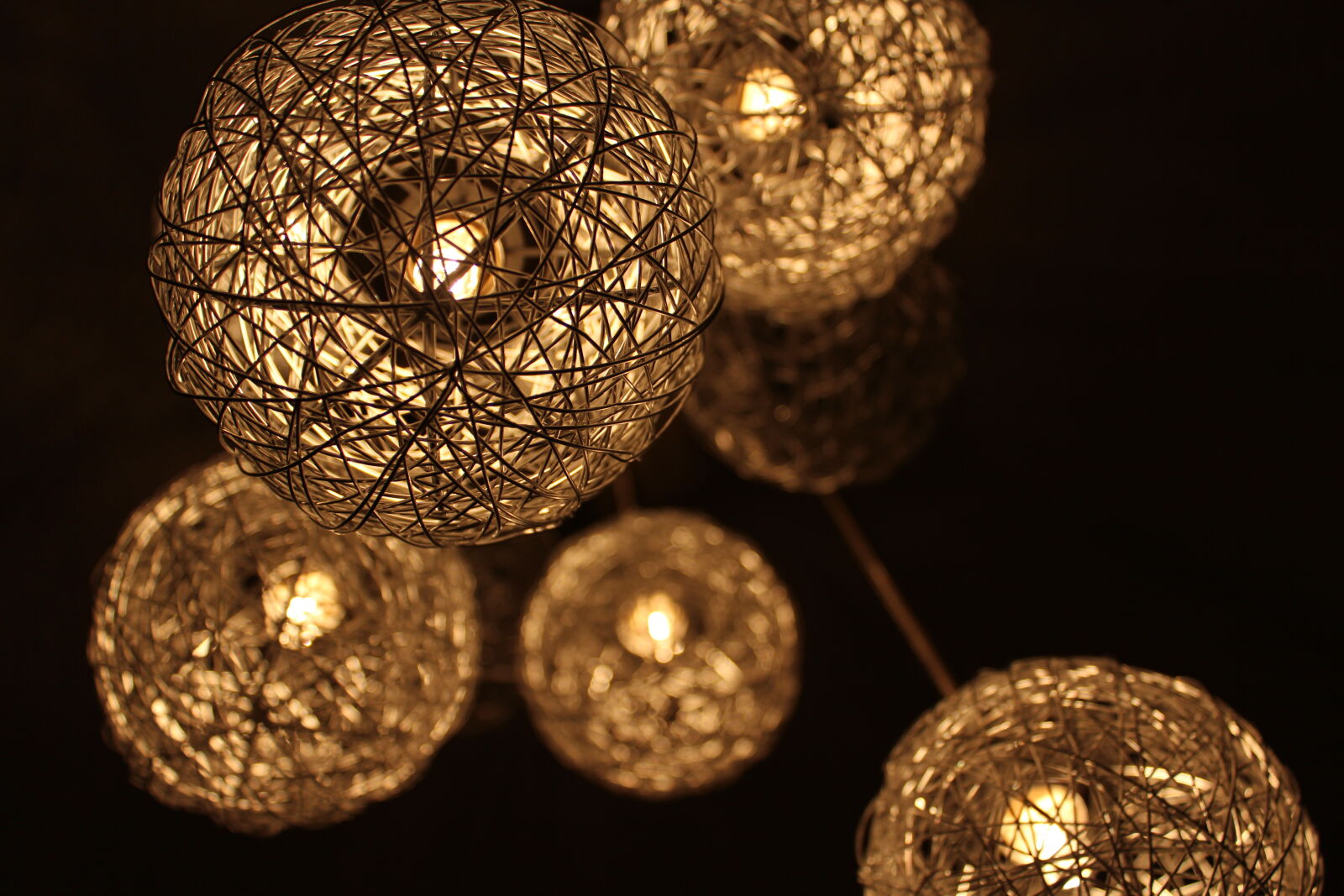 Canon EOS 600D (Rebel EOS T3i / EOS Kiss X5) sample photo. Closeup, photo, of, brown photography