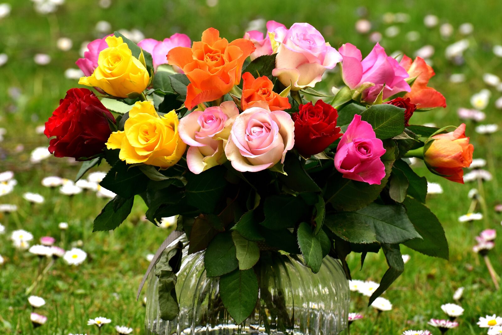 Nikon D7200 sample photo. Roses, bouquet, flowers photography