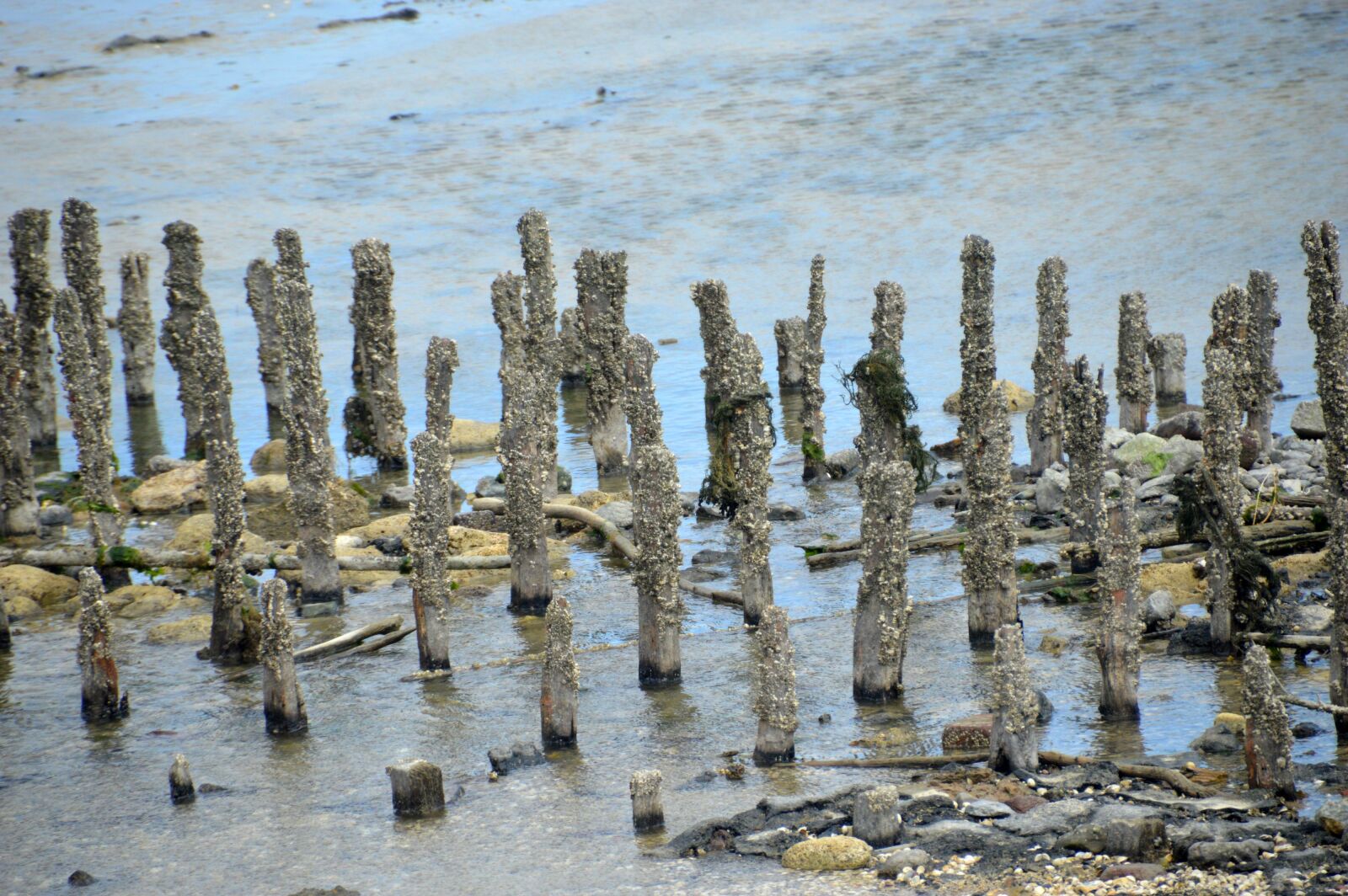 Nikon D3200 sample photo. Sea, beach, berck photography