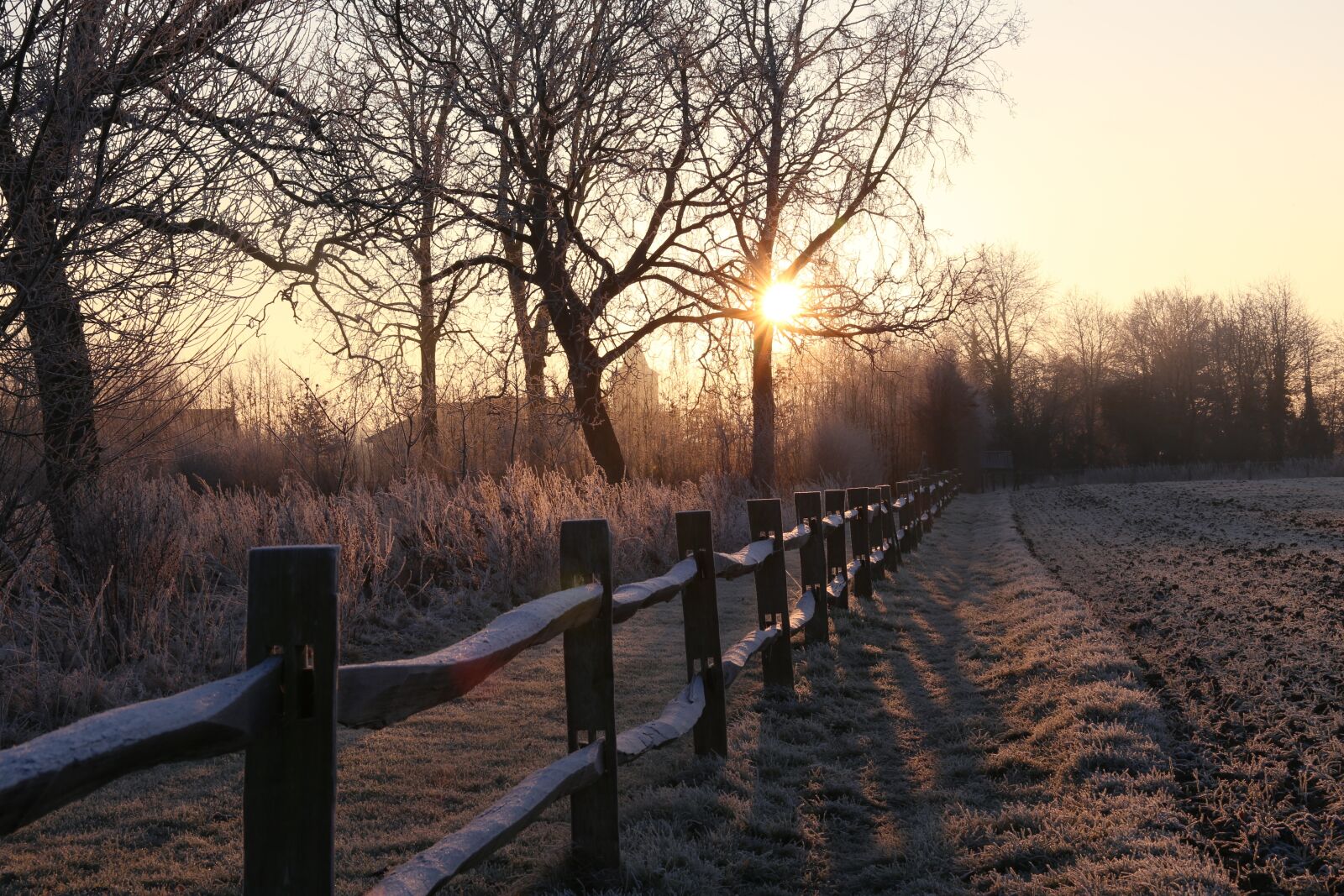 Canon EF 24-70mm F2.8L II USM sample photo. Landscape, snow, winter photography