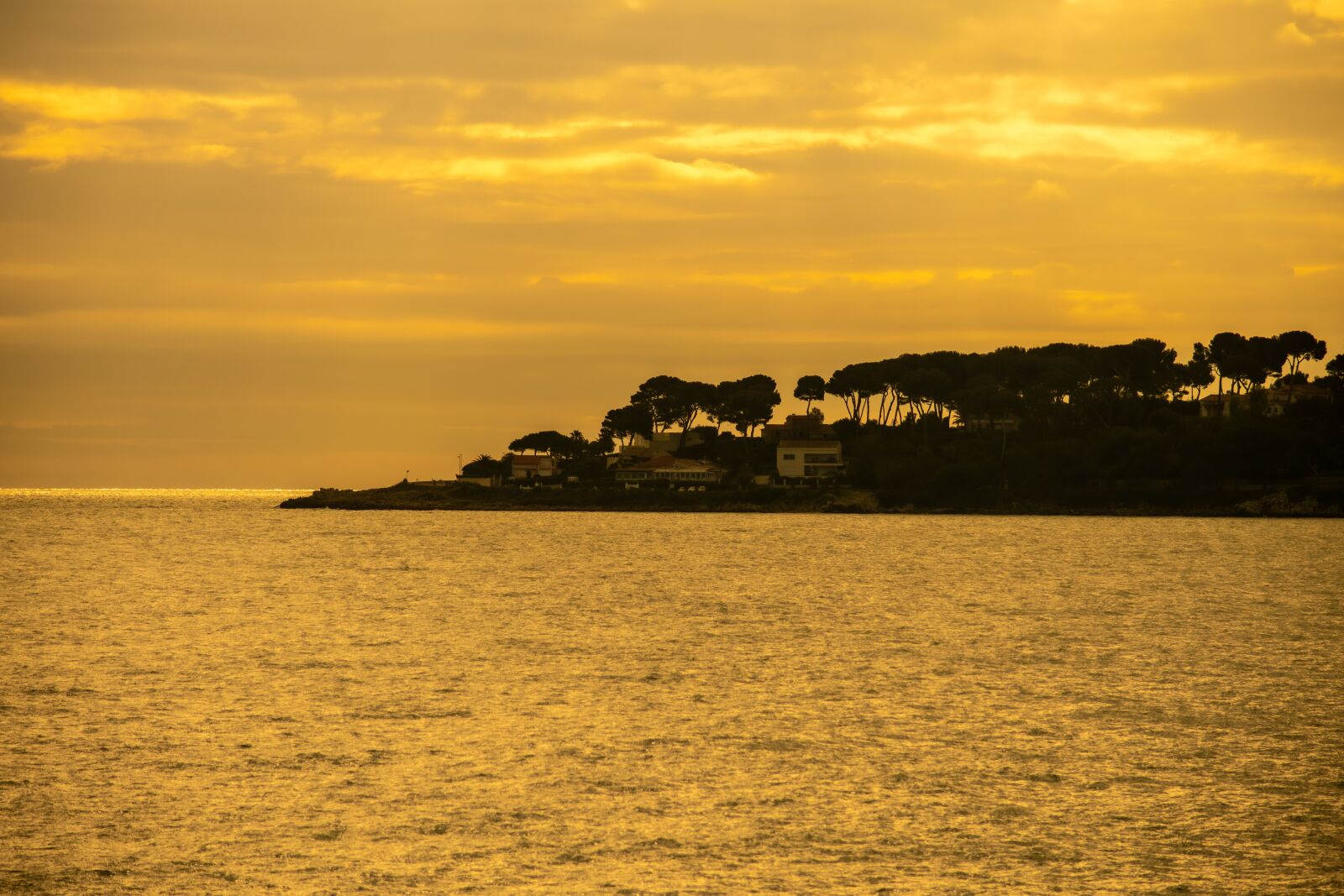 Nikon D5600 sample photo. Sea, trees, sunset photography