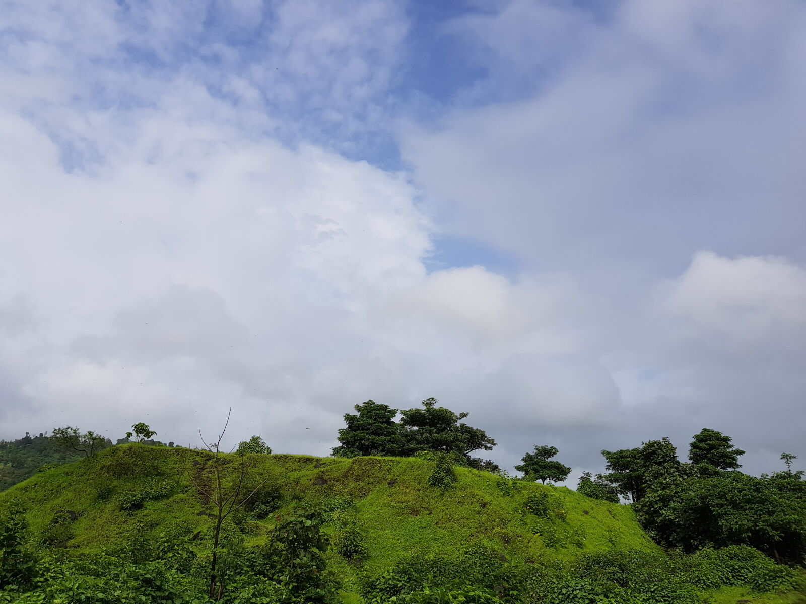 Samsung Galaxy S8 sample photo. Blue, sky, nashik, nature photography