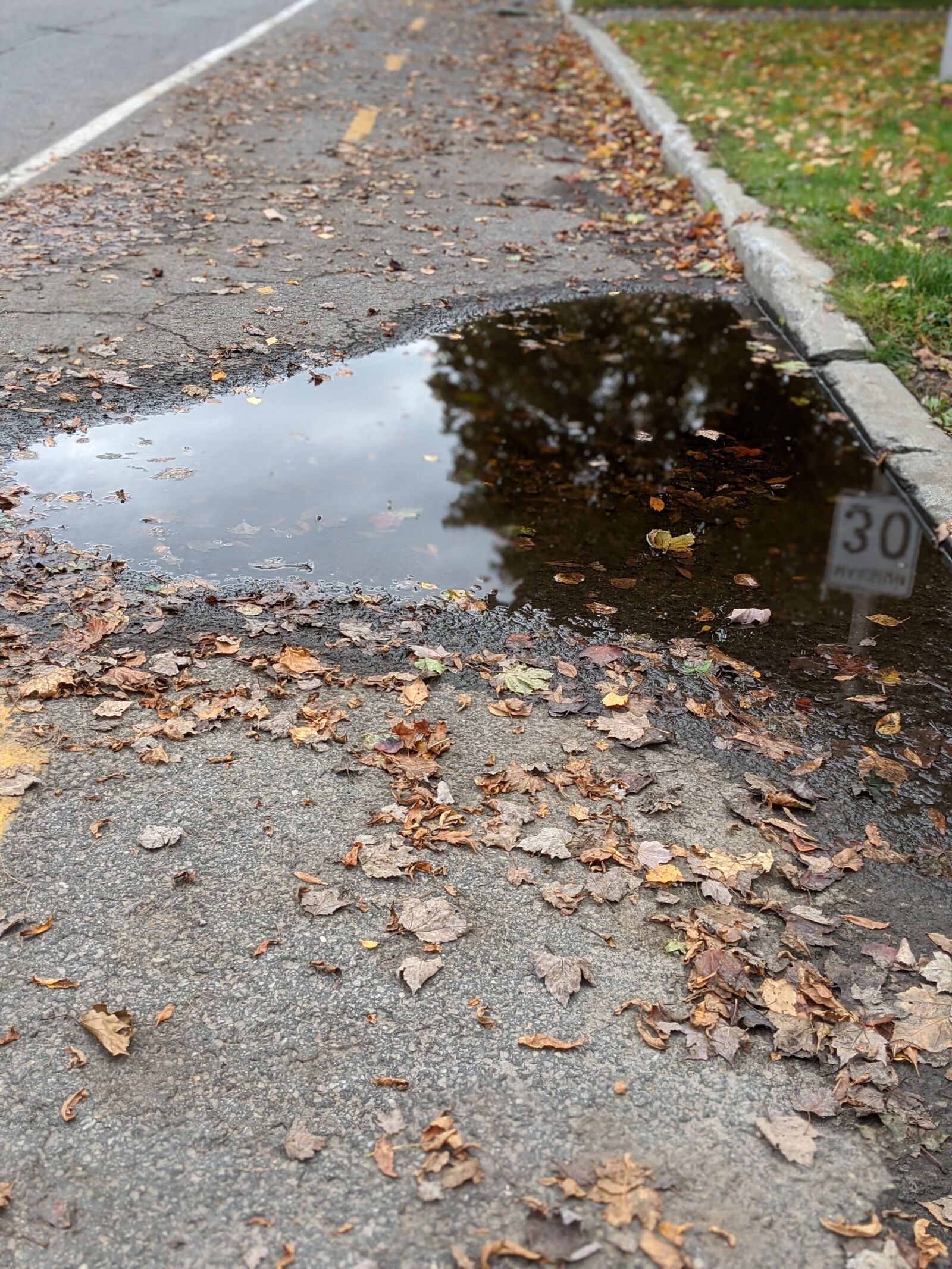 Google Pixel 4 XL sample photo. Fall, puddle, street photography
