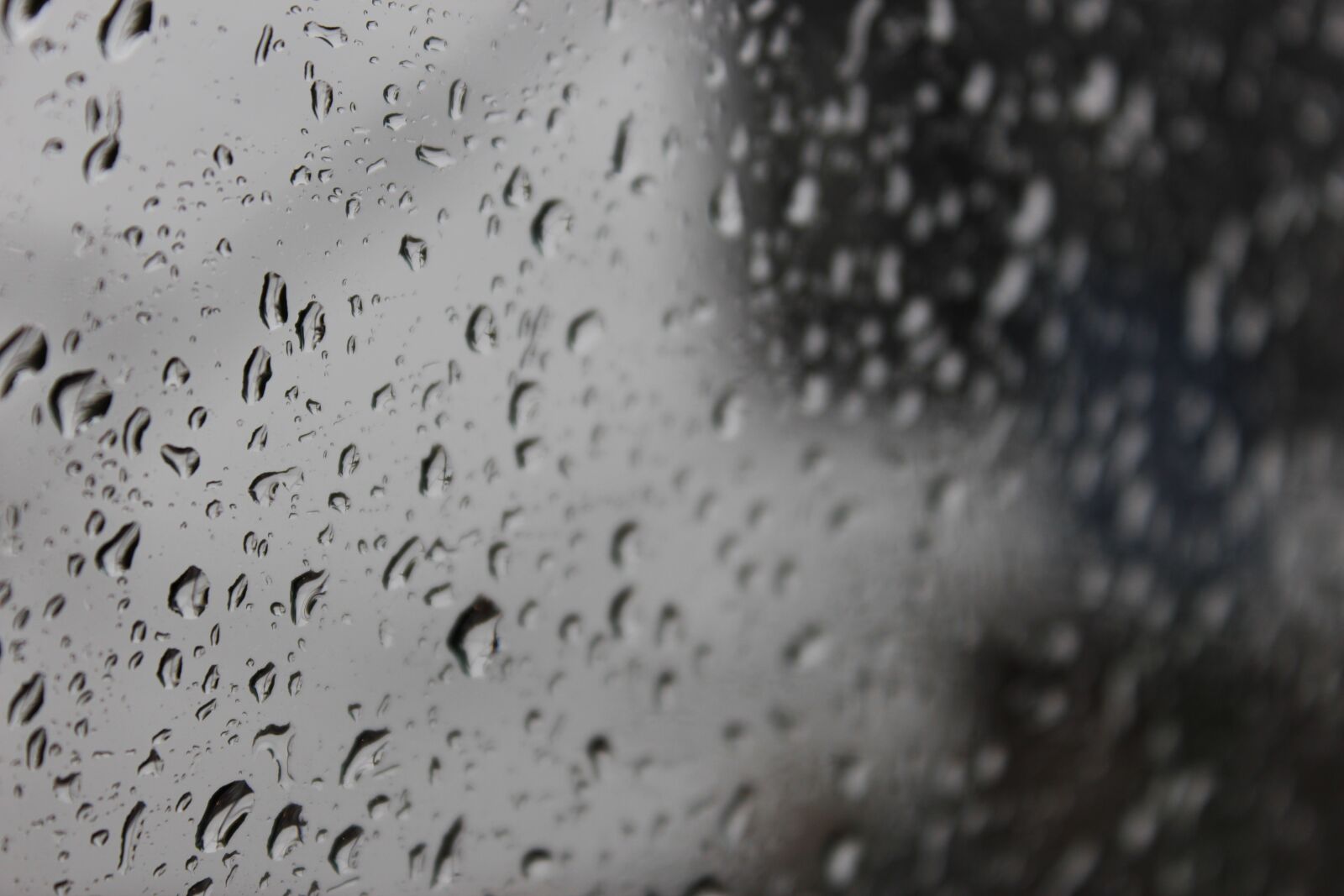 Canon EOS 600D (Rebel EOS T3i / EOS Kiss X5) sample photo. Rain, wet, pearl photography