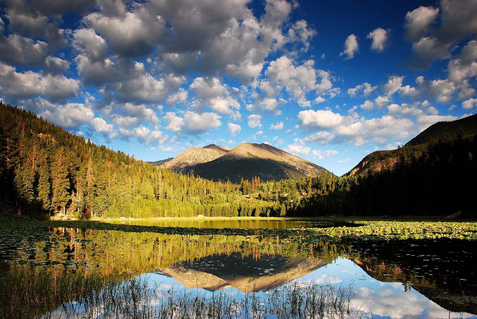 Nikon D80 sample photo. Cub lake, water, landscape photography
