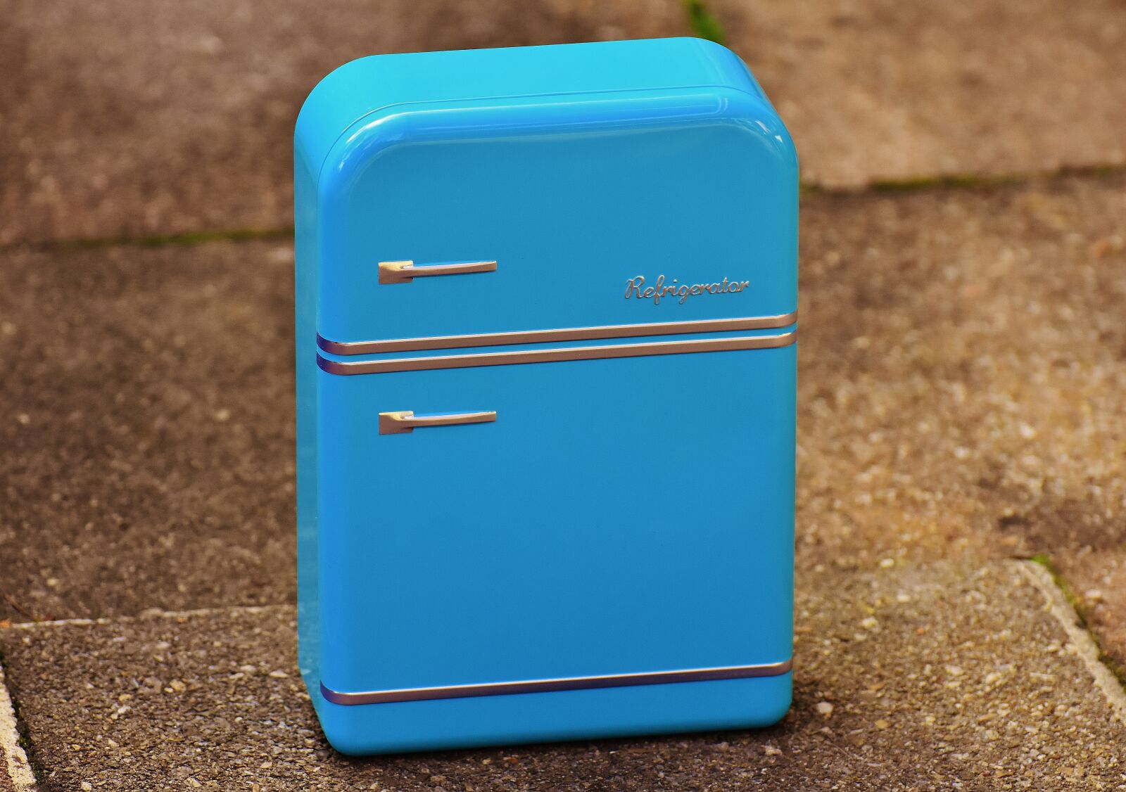 Nikon D7200 sample photo. Refrigerator, box, cookie jar photography