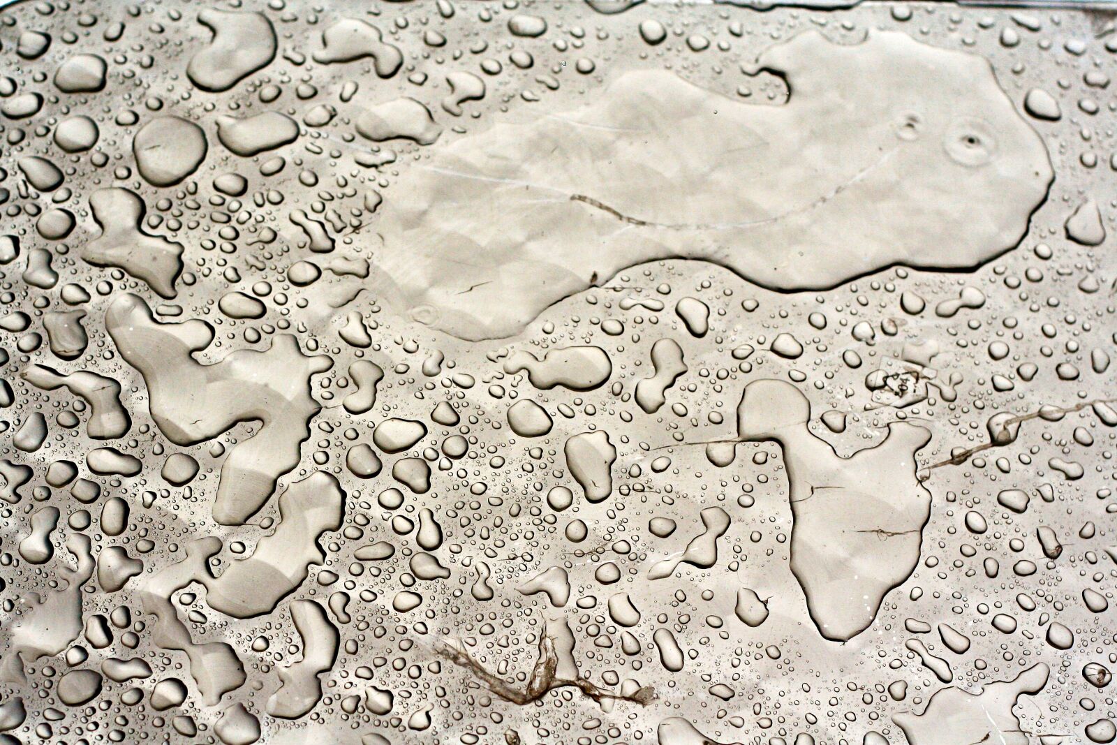 Canon EOS 350D (EOS Digital Rebel XT / EOS Kiss Digital N) sample photo. Wet, background, pattern photography