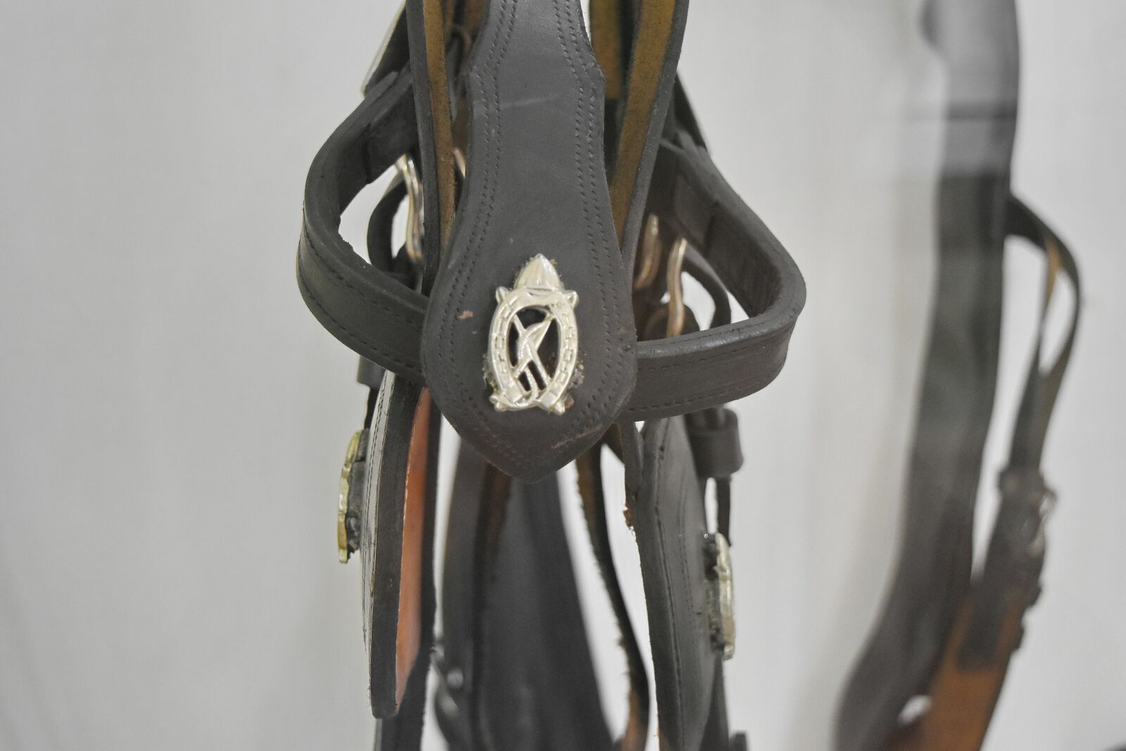 Nikon D5500 sample photo. Leather, harness, gear, indoors photography