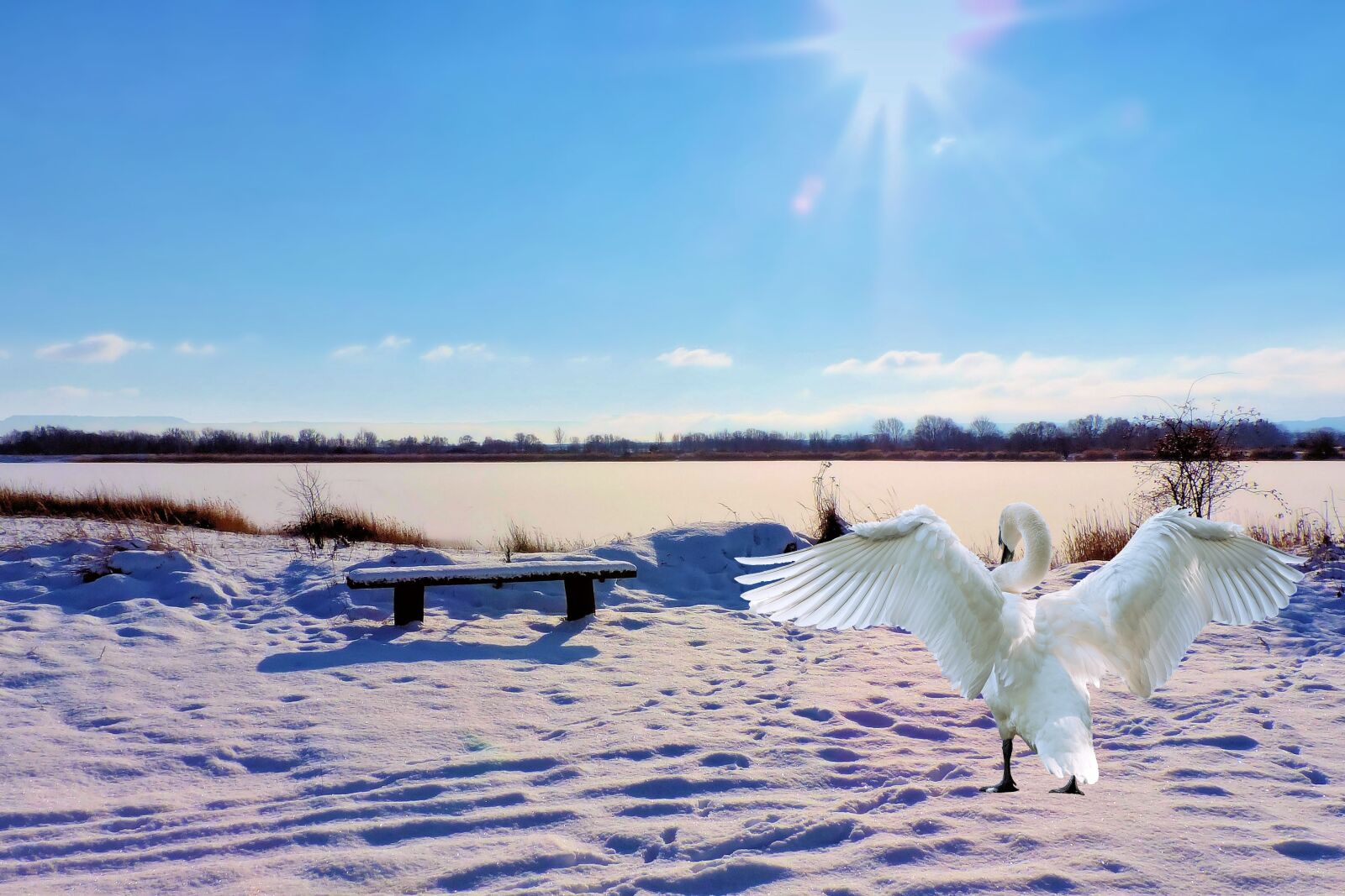 Nikon Coolpix P520 sample photo. Landscape, winter, lake photography