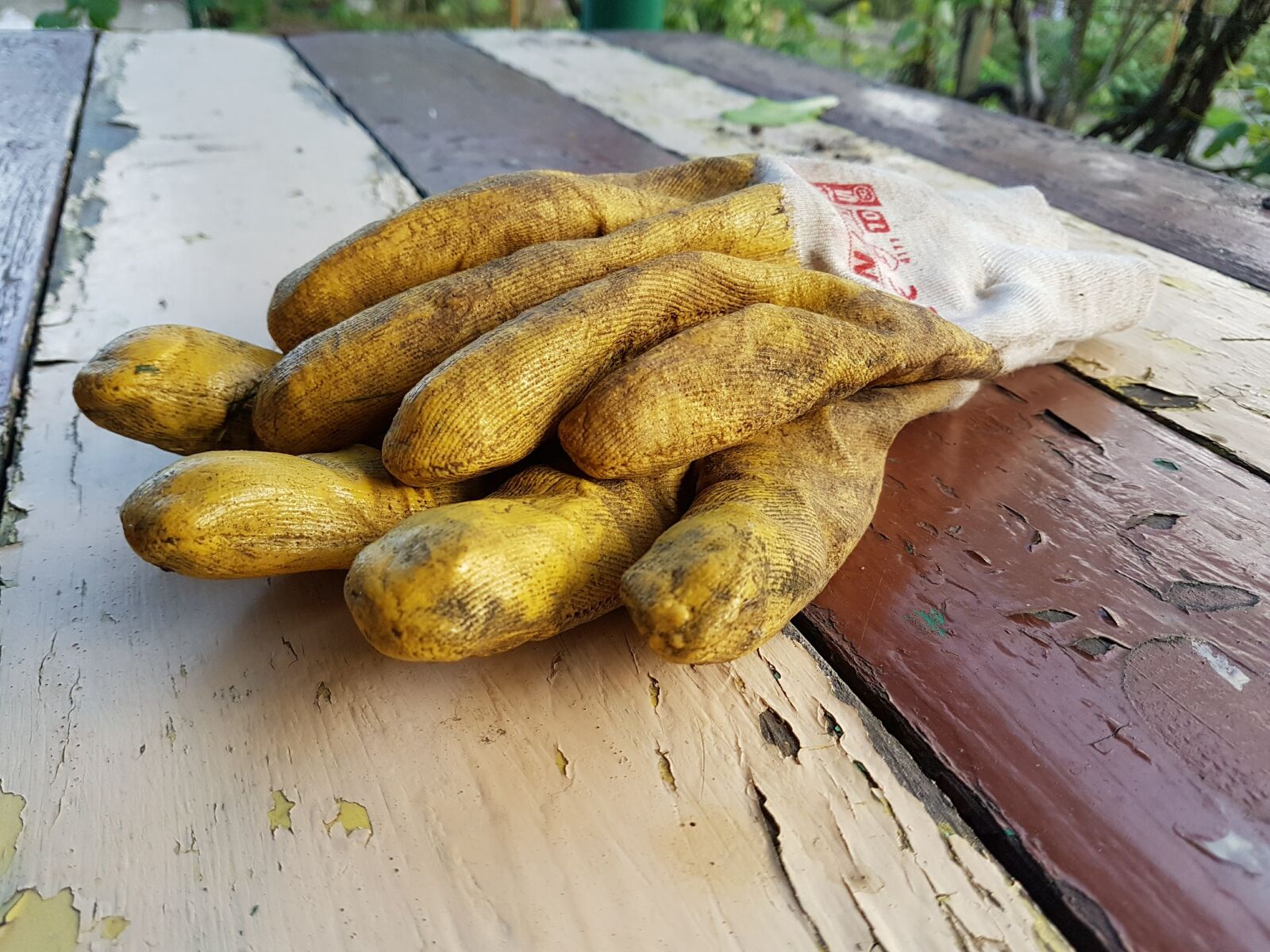 Samsung Galaxy S7 Edge sample photo. Gloves, garden, dining table photography