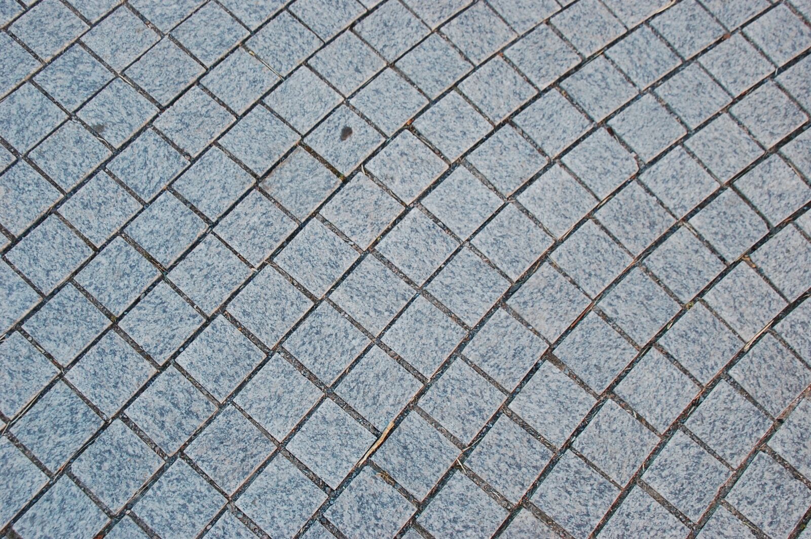 Nikon D40 sample photo. Template, texture, background photography