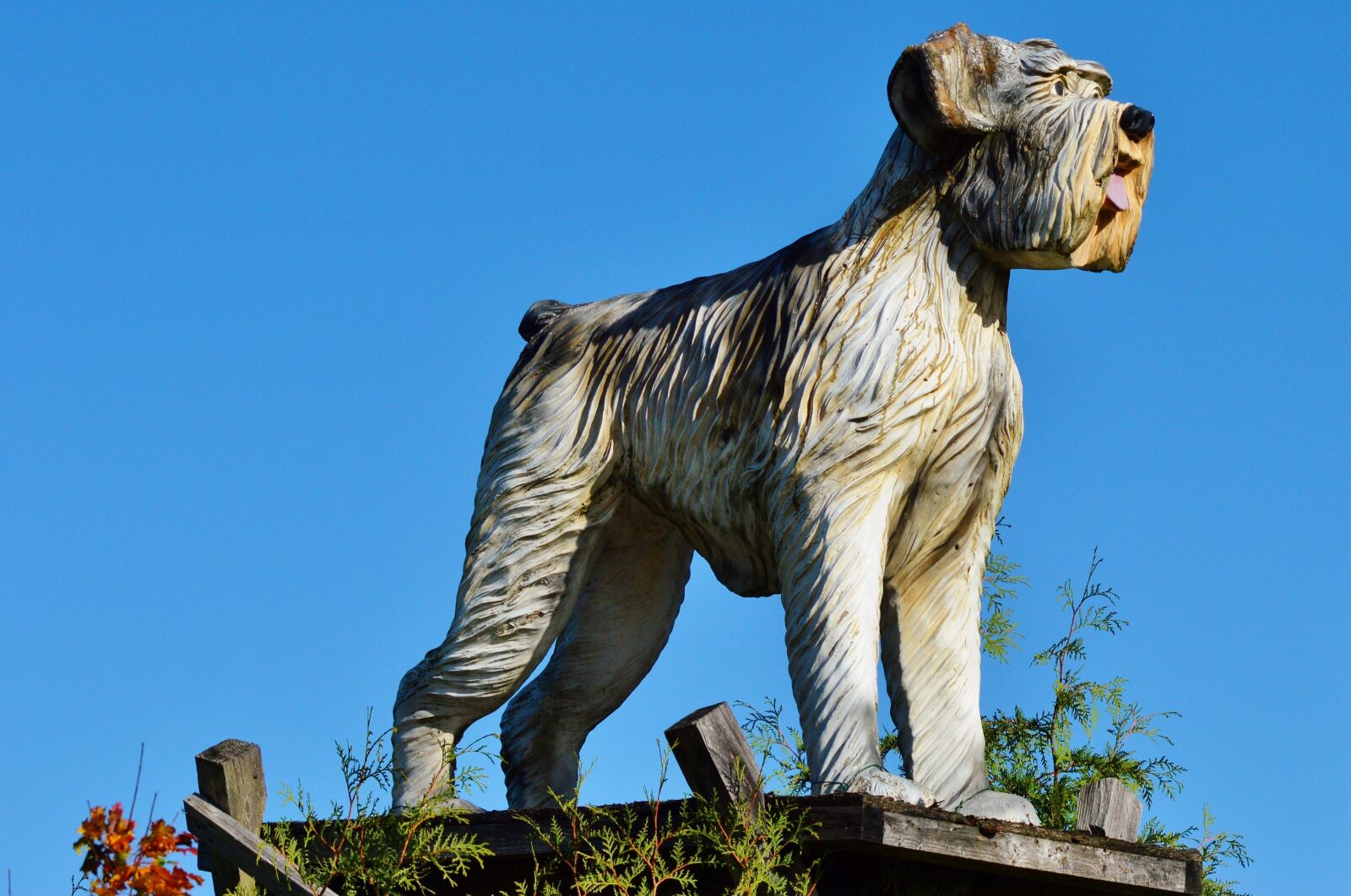 Nikon D3200 sample photo. Wood dog, figure, dog photography