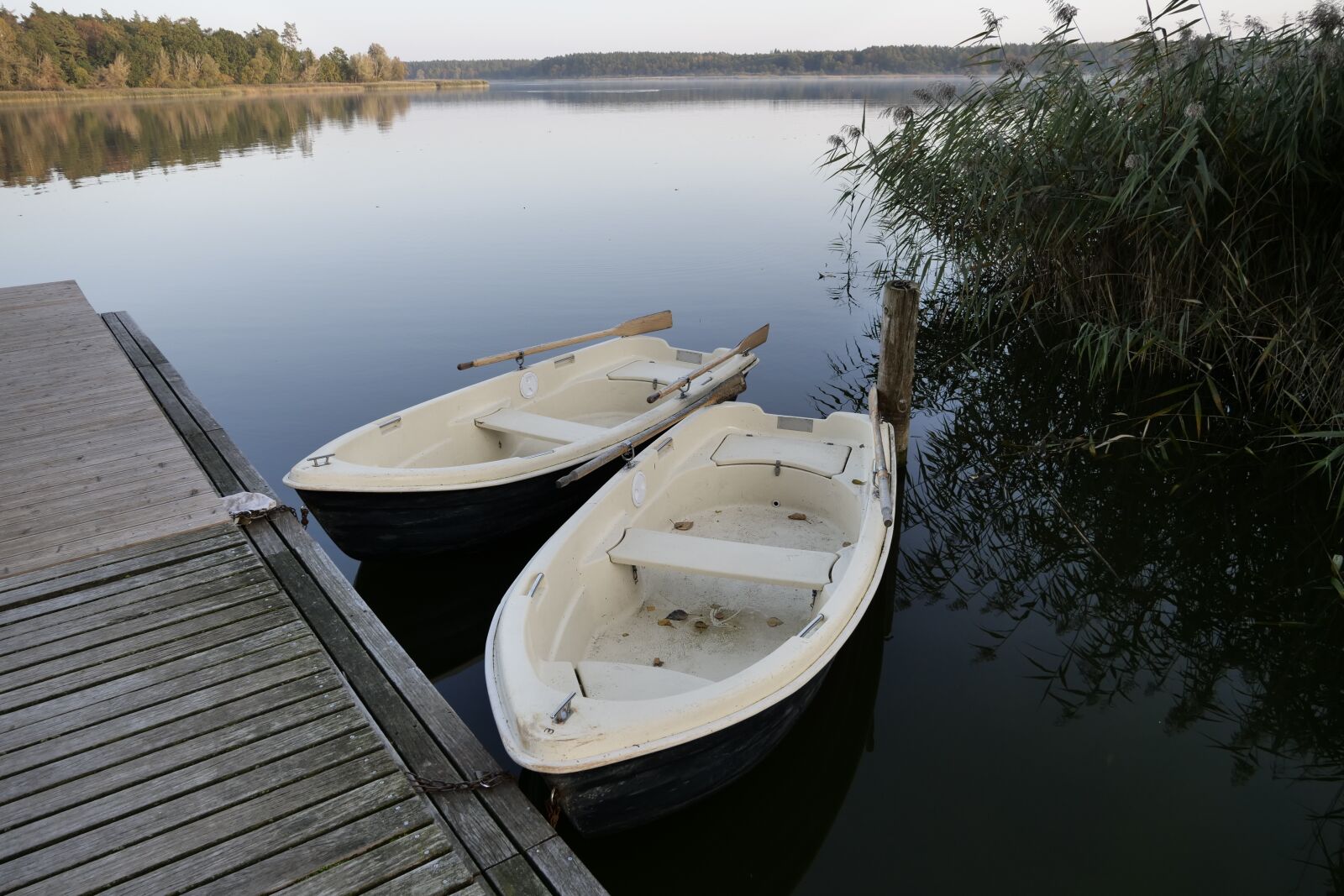 Panasonic Lumix DC-G9 sample photo. Rowing boat, lake, nature photography
