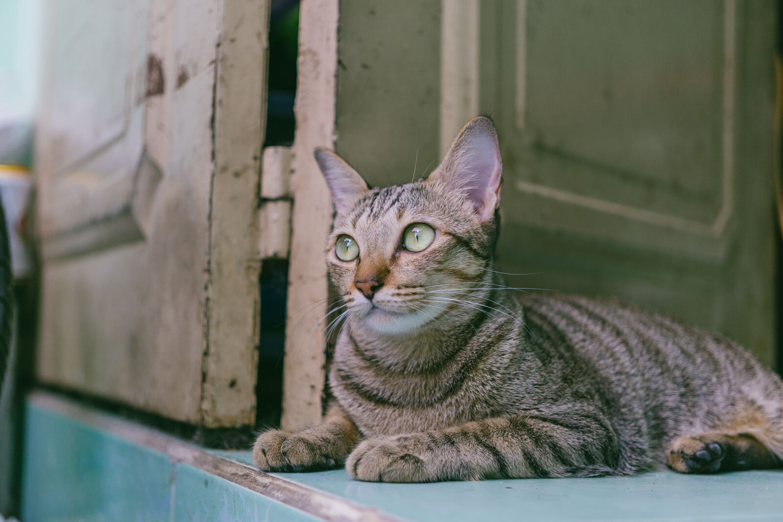 E 32mm F1.8 sample photo