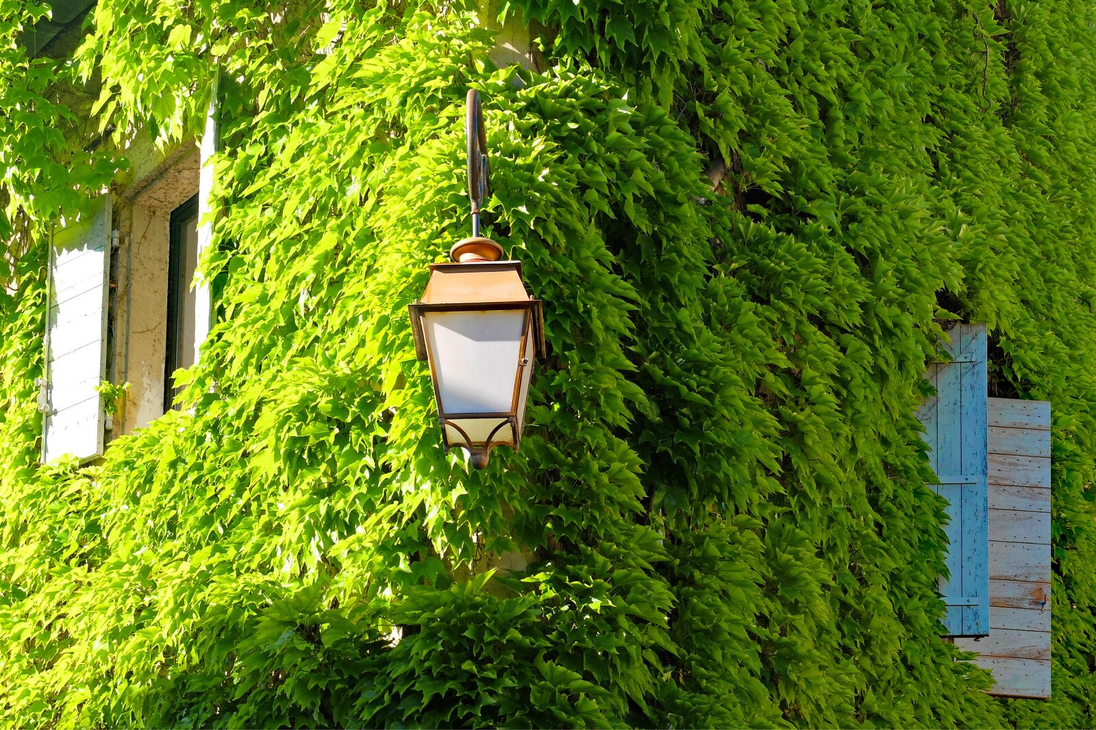 Fujifilm X30 sample photo. Viriginia creeper, ivy, house photography