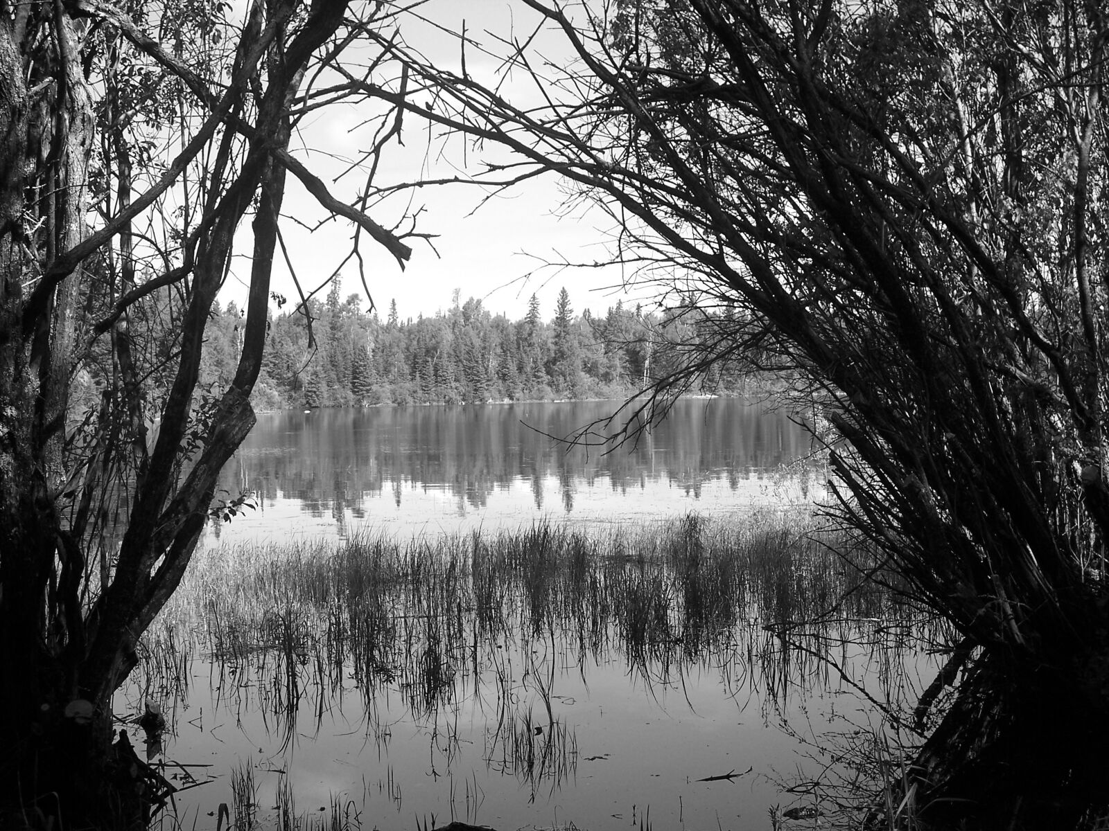 Kodak DX7630 ZOOM DIGITAL CAMERA sample photo. Lake, scene, nature photography