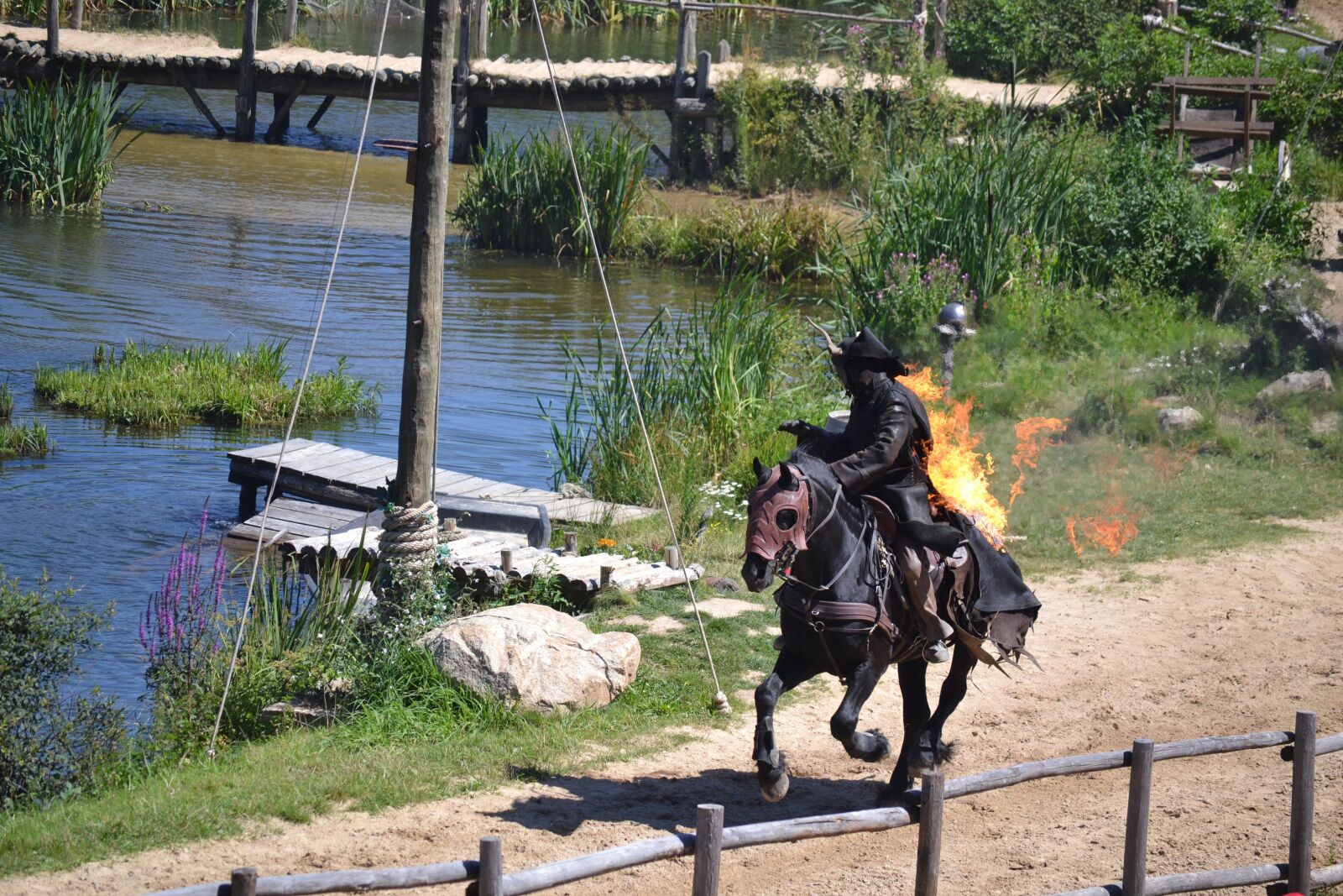 Nikon D3100 sample photo. Show, fire, horse photography
