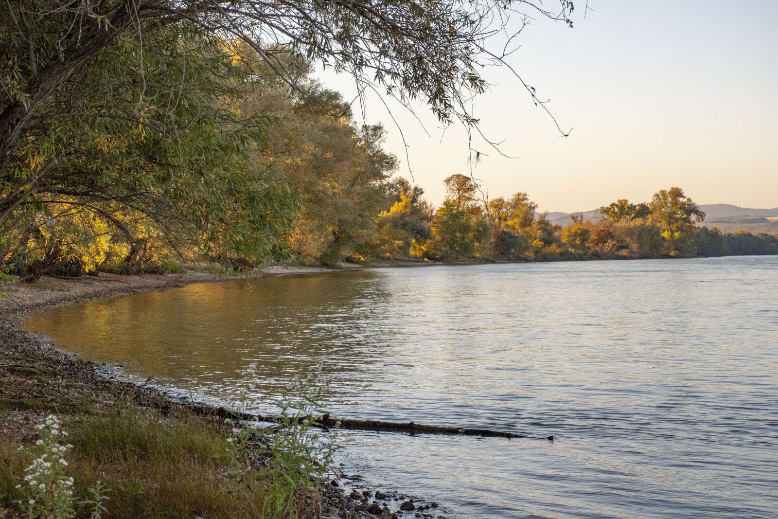 Nikon D500 sample photo. Danube, river, autumn photography