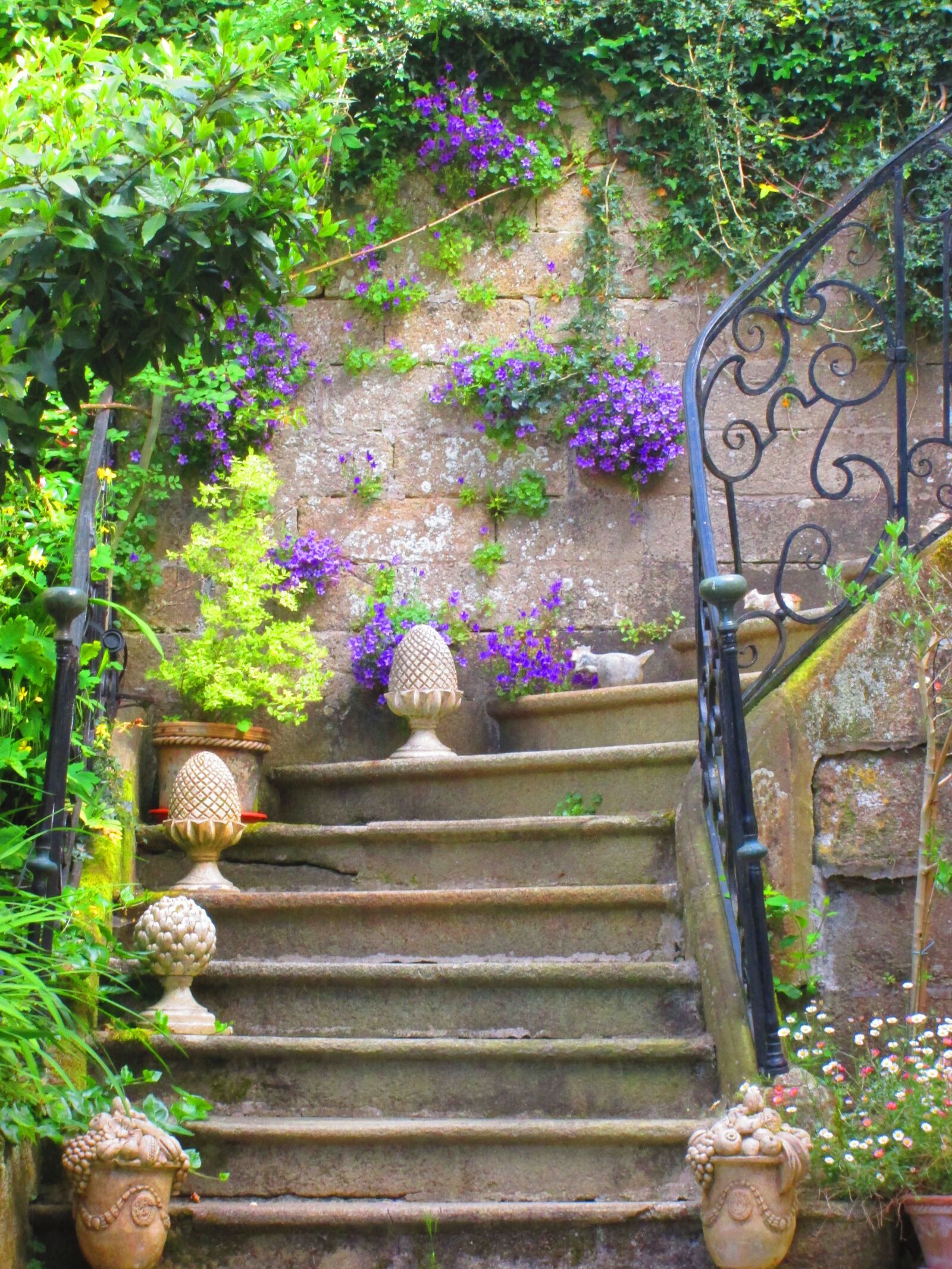 Canon PowerShot A2500 sample photo. Staircase, old, flowers photography