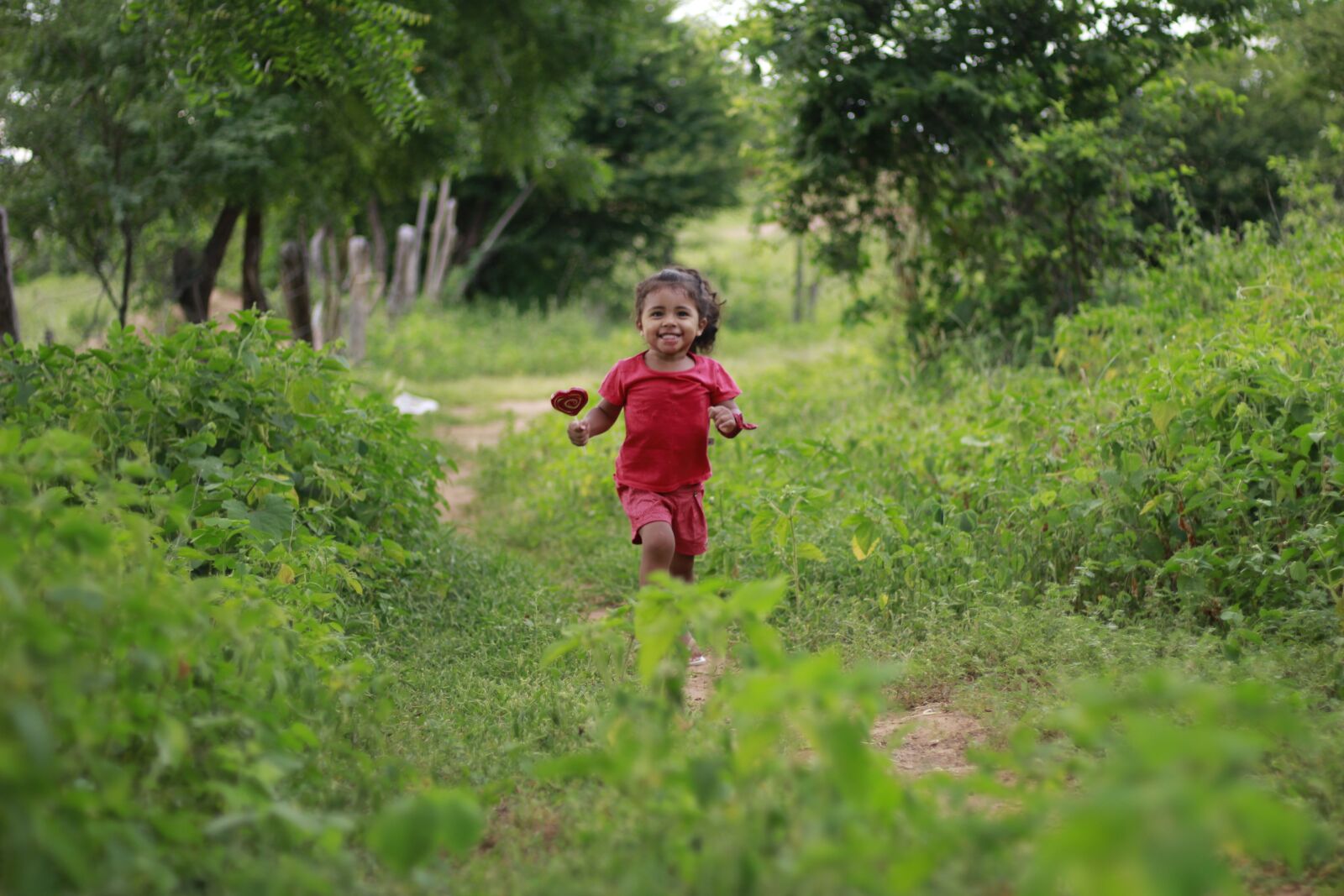 Canon EF 50mm F1.8 STM sample photo. Happy child, child running photography