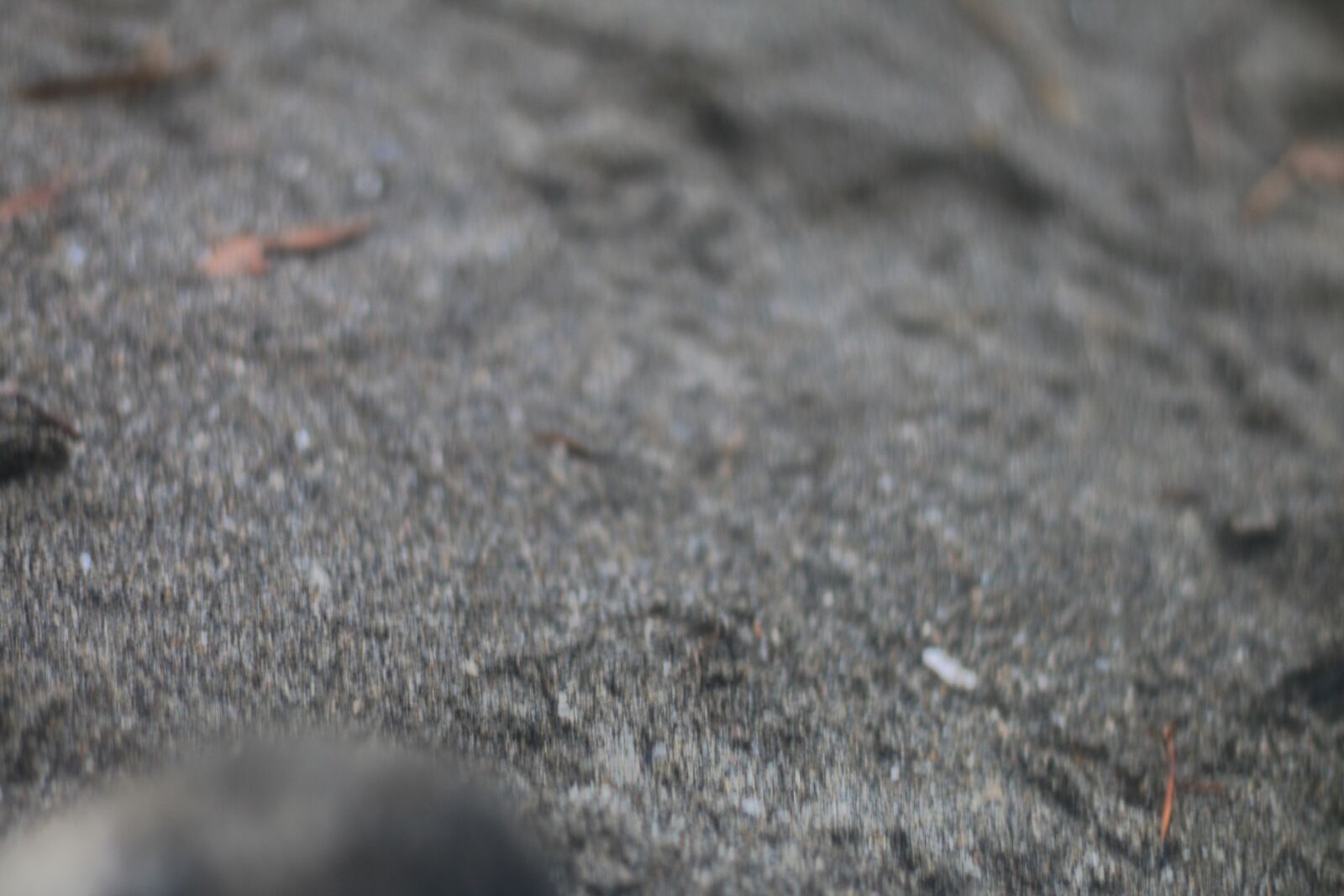 Canon EOS 70D + Canon EF 50mm F1.8 STM sample photo. Kamakura, the sea, cloudy photography