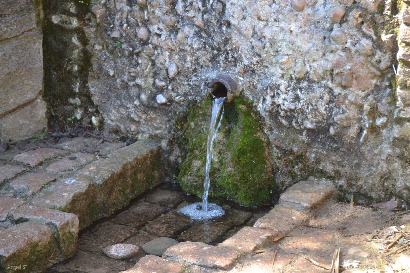 Nikon D3100 sample photo. Life, water, source photography