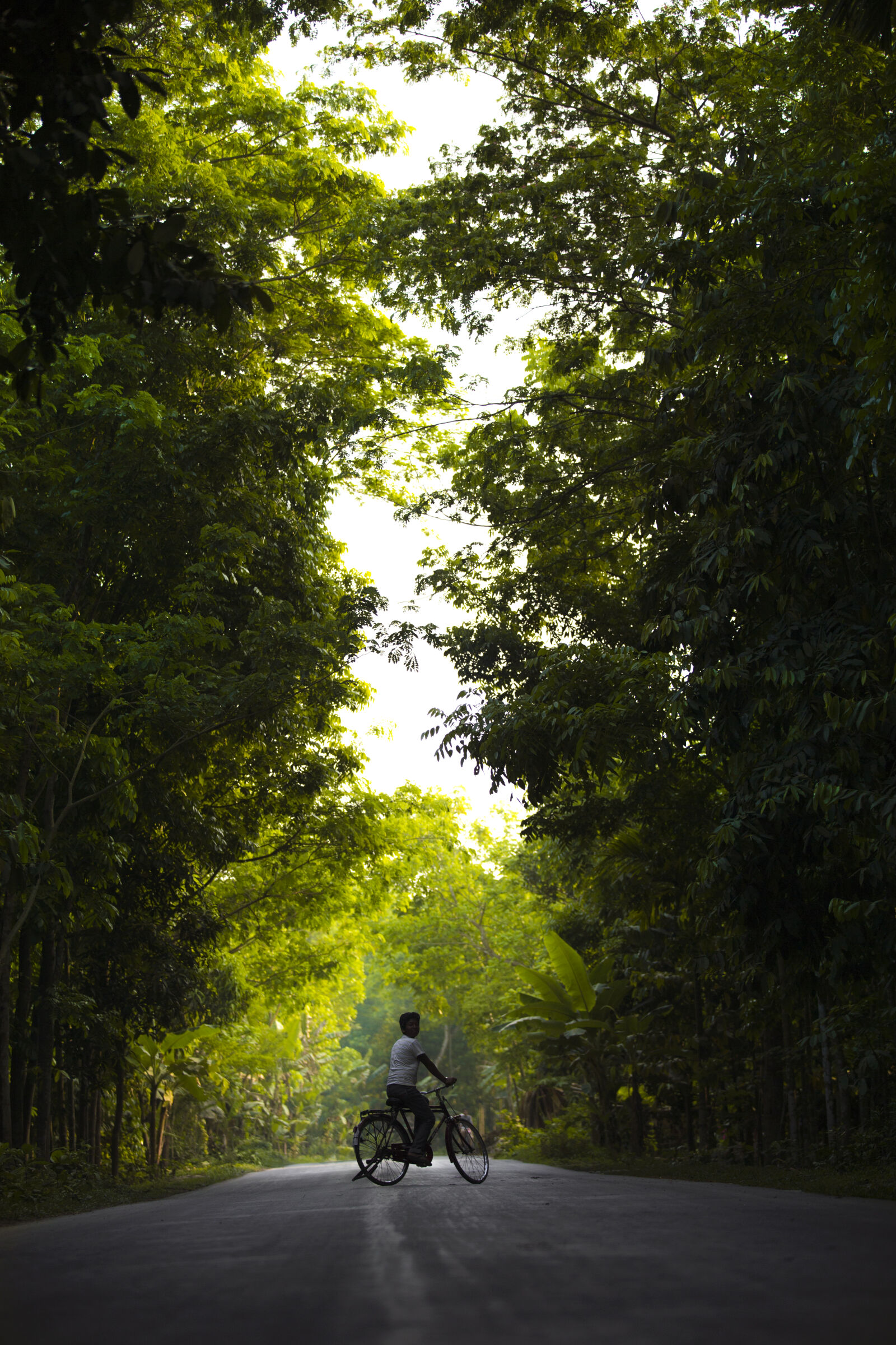 Canon EOS 6D sample photo. Bangladesh, bicycle, bike, boy photography