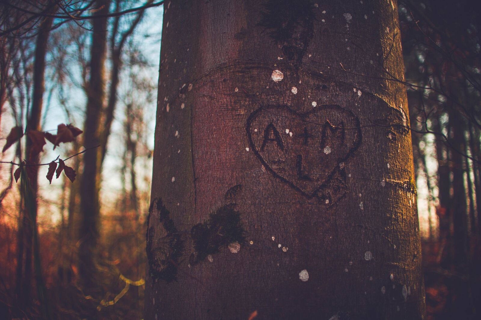 Nikon D700 sample photo. Adult, dark, environment photography