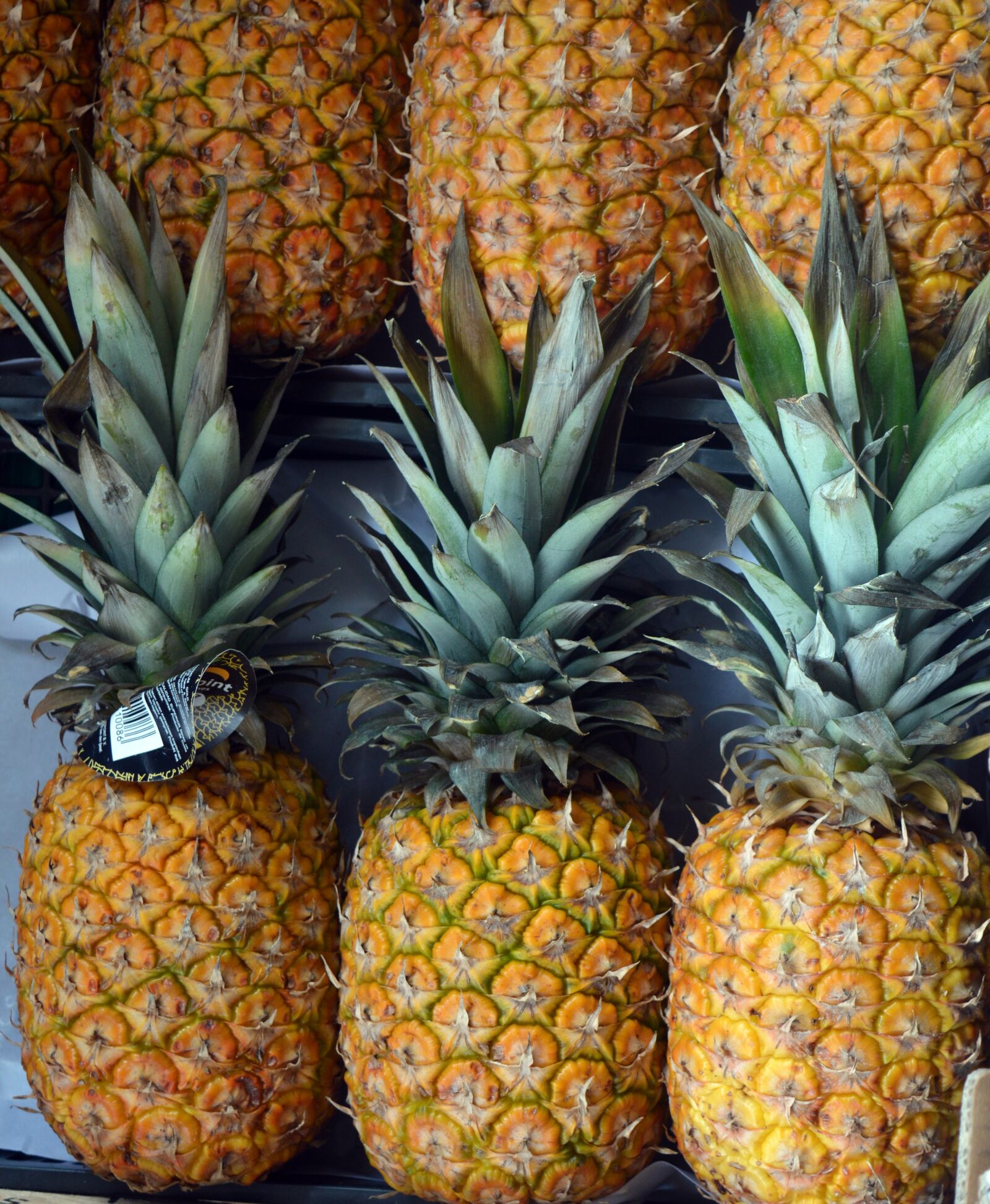 Nikon D3200 sample photo. Pineapple, fruit, tropical photography