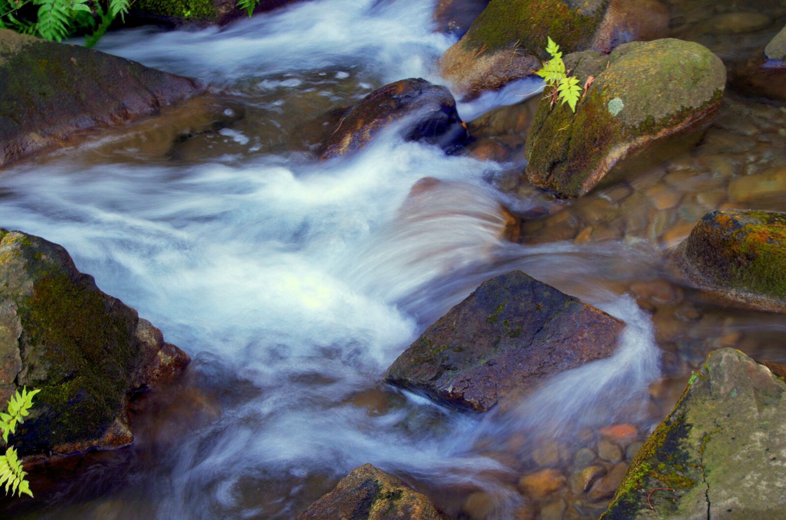 Pentax K-30 sample photo. Water, japan, natural photography