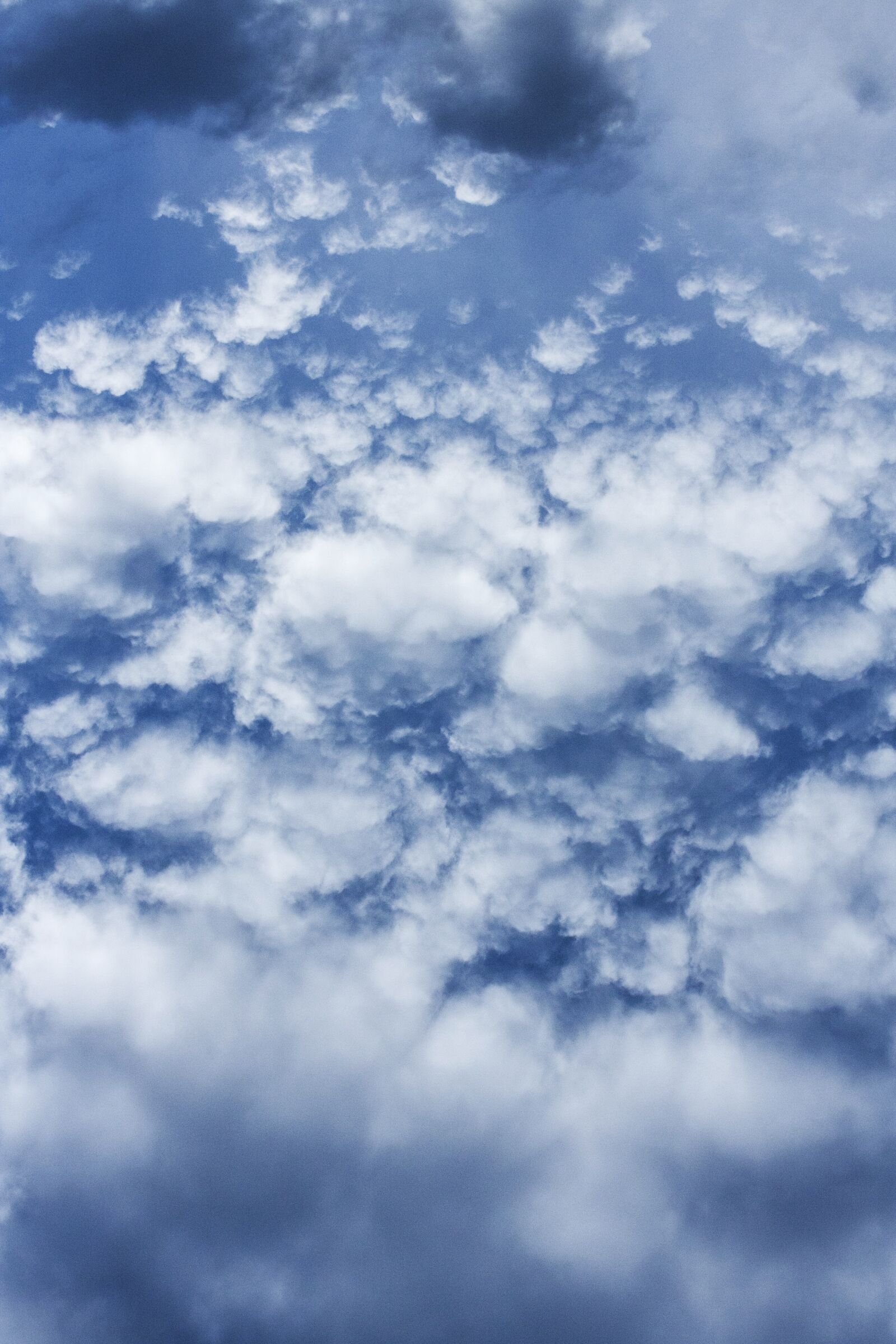 Canon EOS 40D sample photo. Clouds, air, sky photography