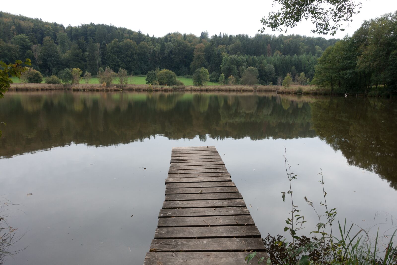 Sony Cyber-shot DSC-RX100 III sample photo. Lake, pond, web photography
