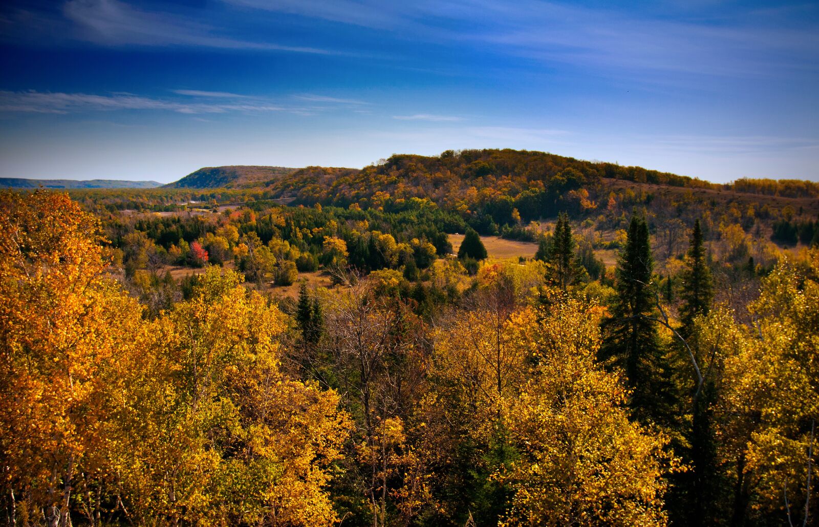 Nikon D300 sample photo. Fall, autumn, trees photography