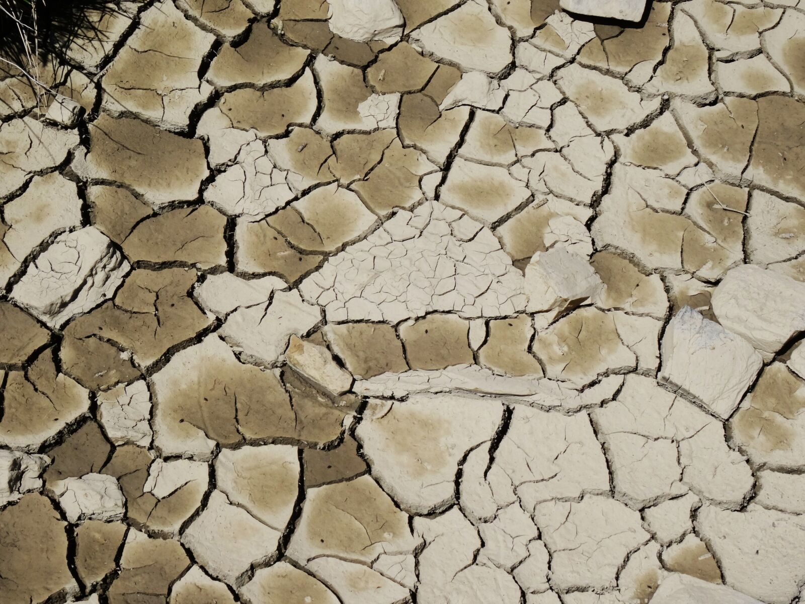 Sony DSC-HX50 sample photo. Drought, mud, cracked earth photography