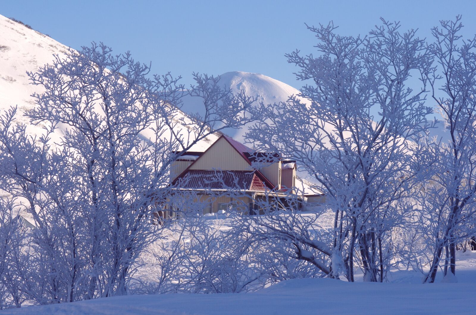 Pentax K-5 sample photo. Mountains, forest, winter photography