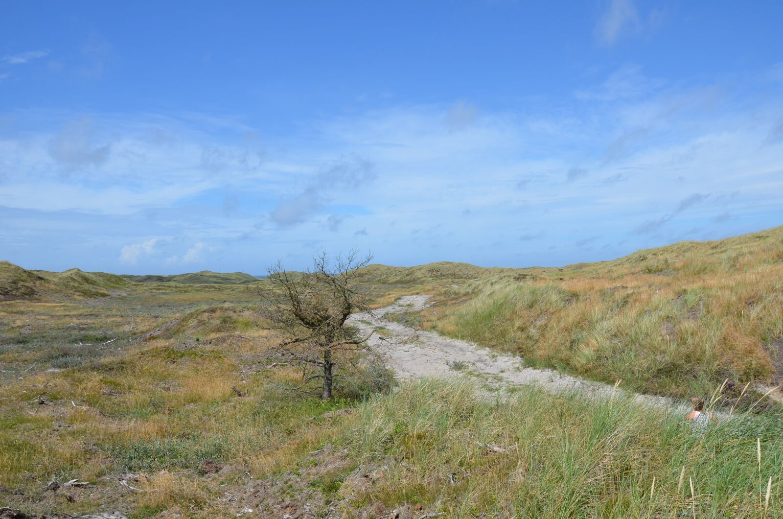 Nikon D5100 sample photo. Denmark, west jutland, husby photography