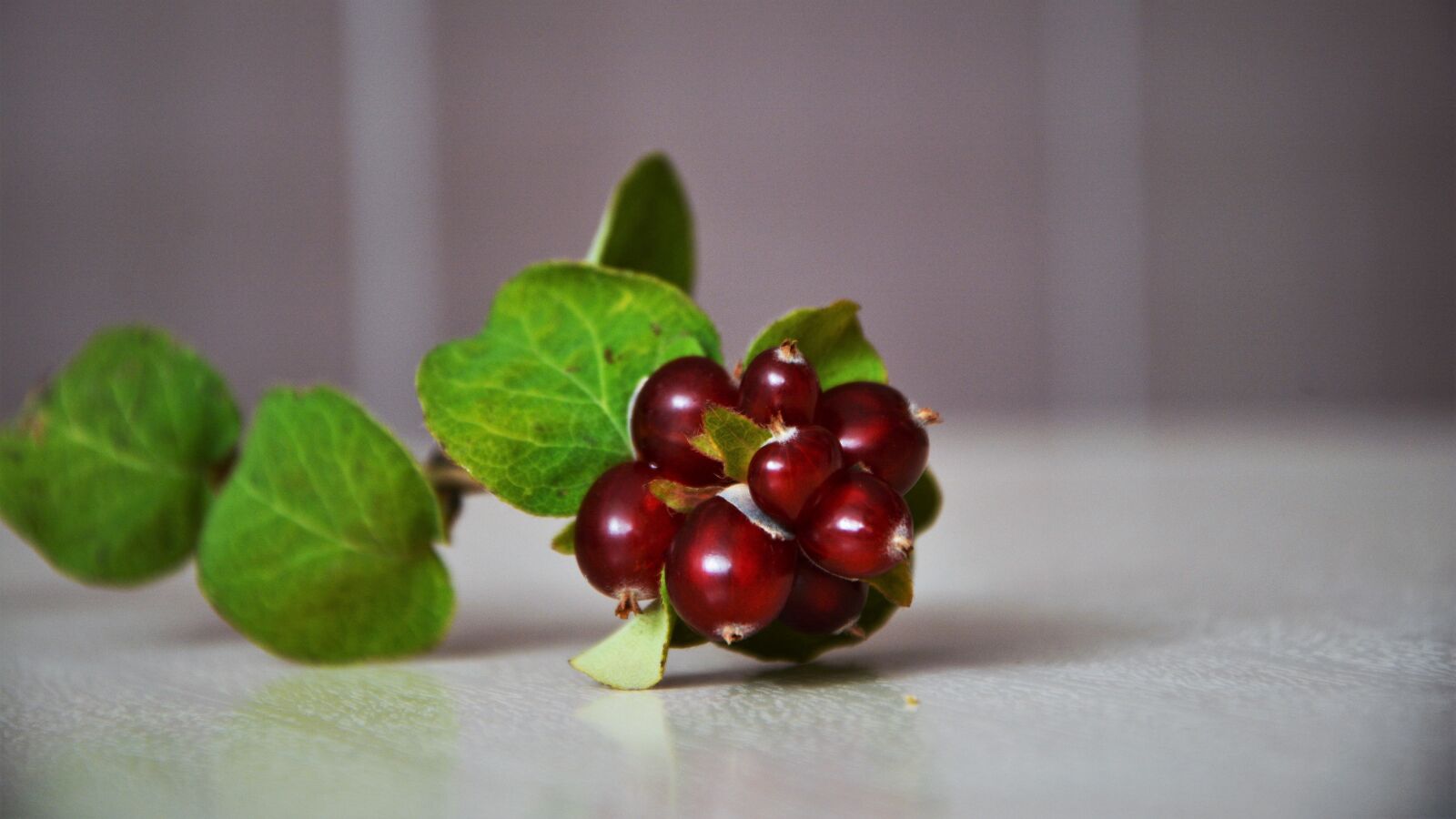 Nikon D7100 sample photo. Wild fruit, fruit, fresh photography