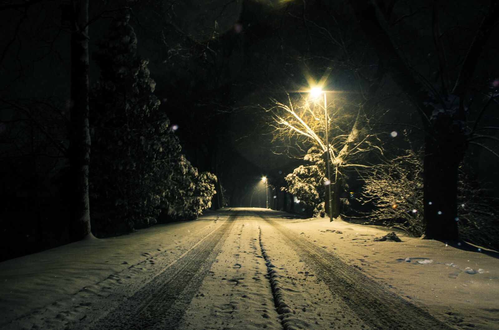 Pentax K-50 sample photo. Winter, snow, road photography