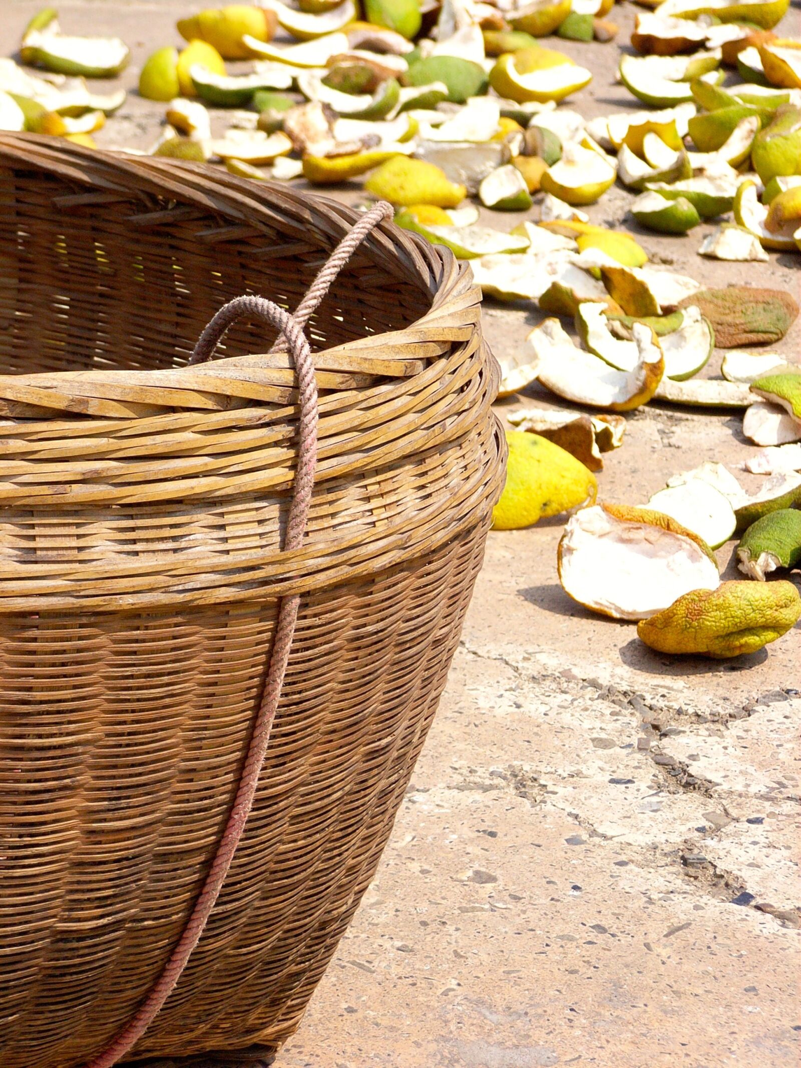 Ricoh Caplio R3 sample photo. Basket, lemon, orange photography