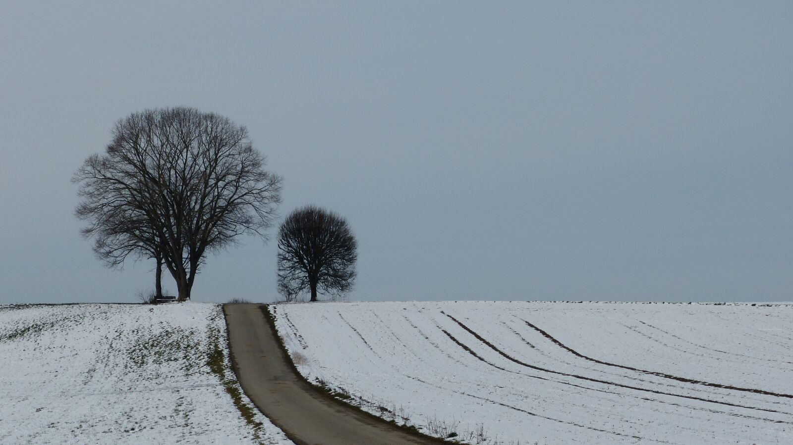 Panasonic Lumix DMC-FZ150 sample photo. Winter, tree, snow photography