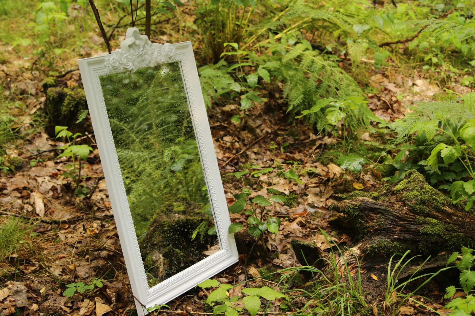 Canon EOS 7D Mark II sample photo. Mirror, forest, reflection photography