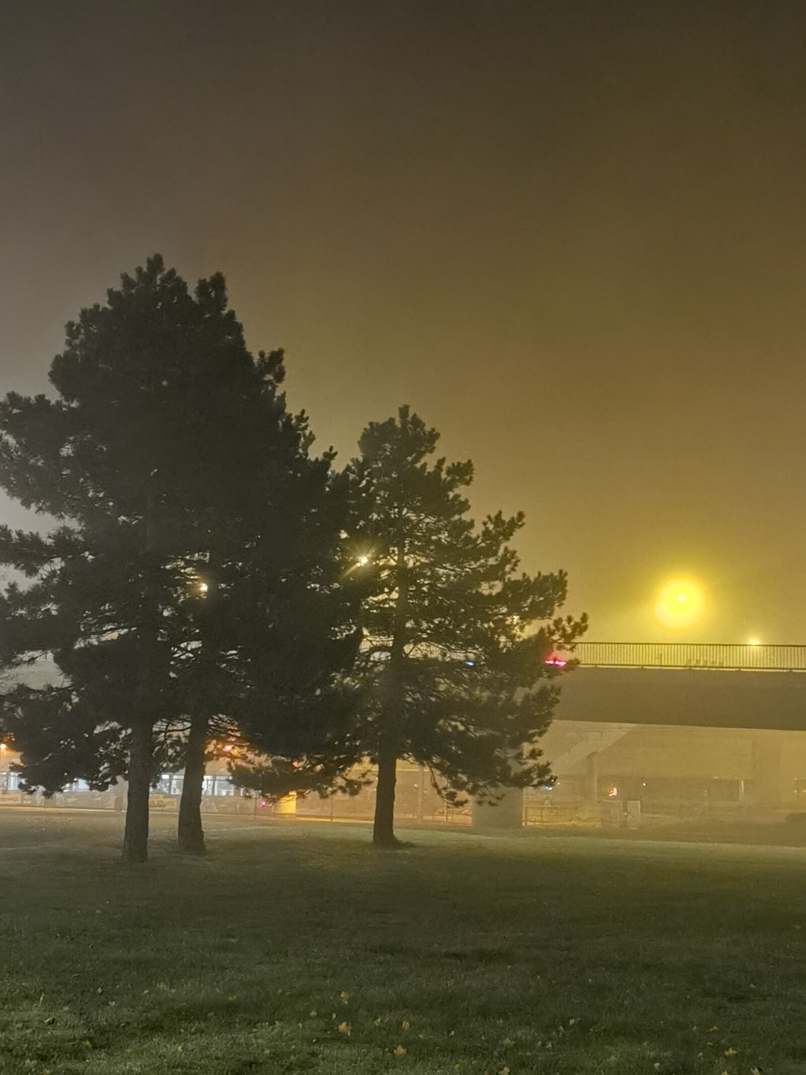 HUAWEI P30 Pro sample photo. Tree, fog, abendstimmung photography